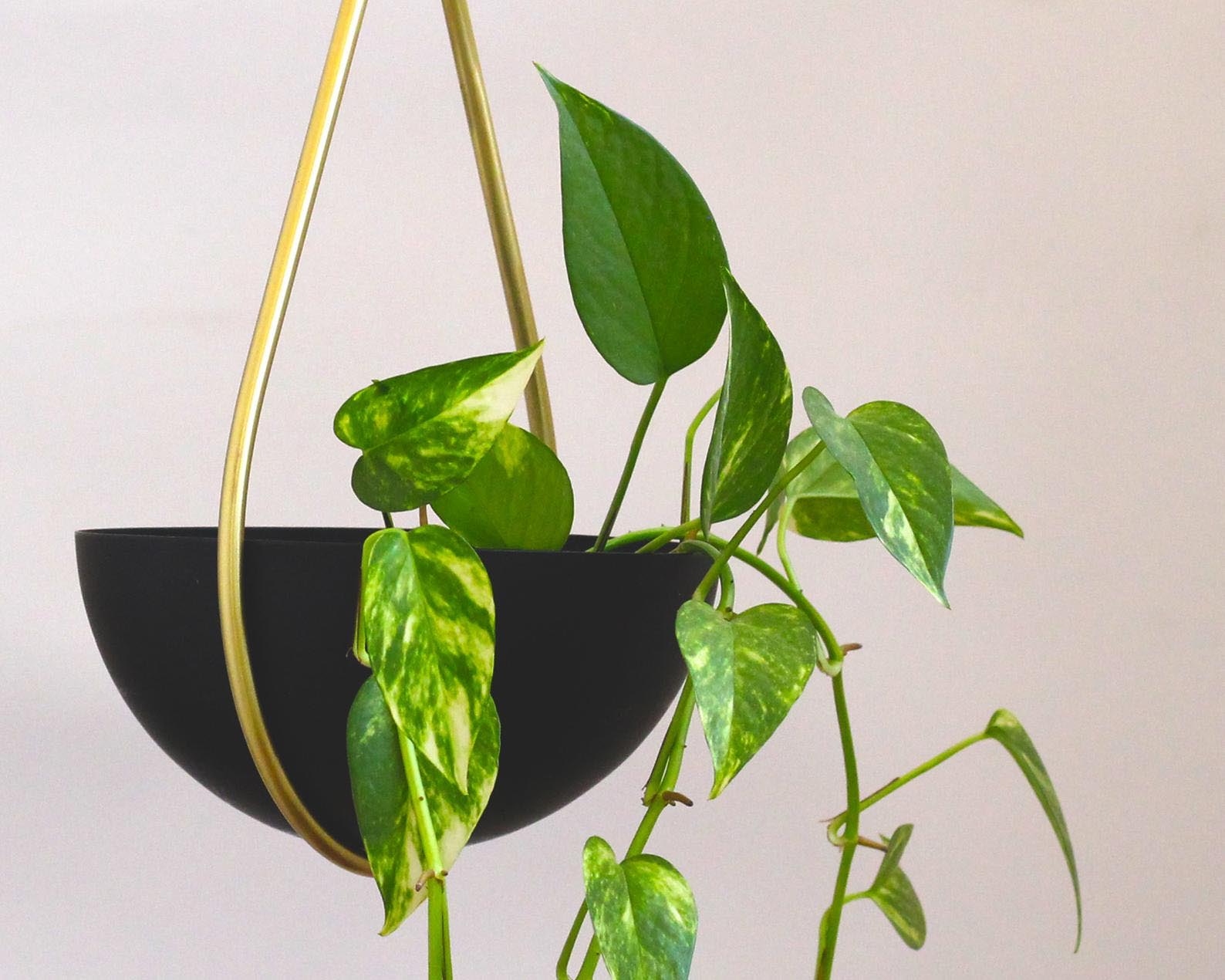 A modern hanging planter with a teardrop shape and a finish of brass and matte black