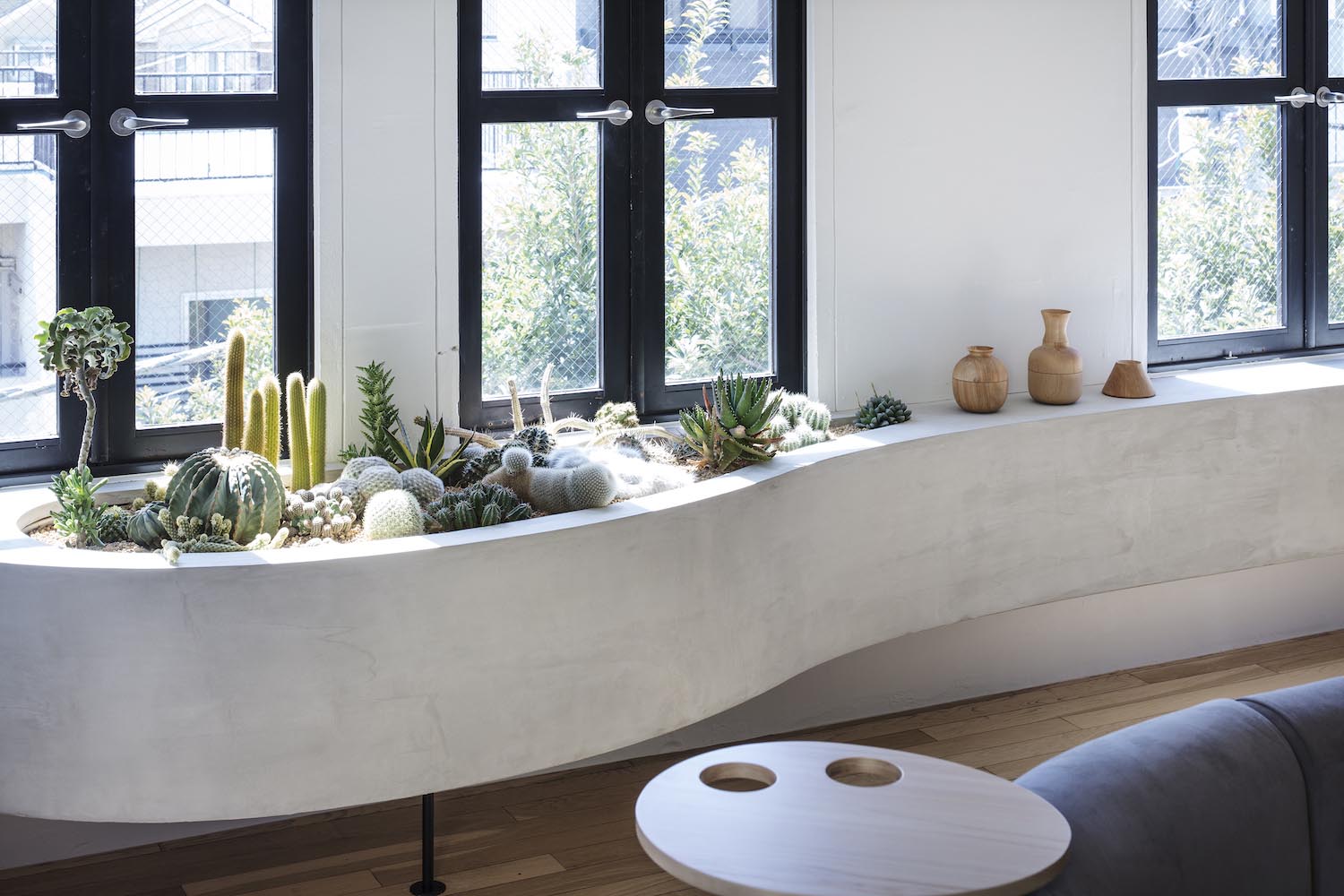 A cacti garden has been included in a built-in indoor planter.