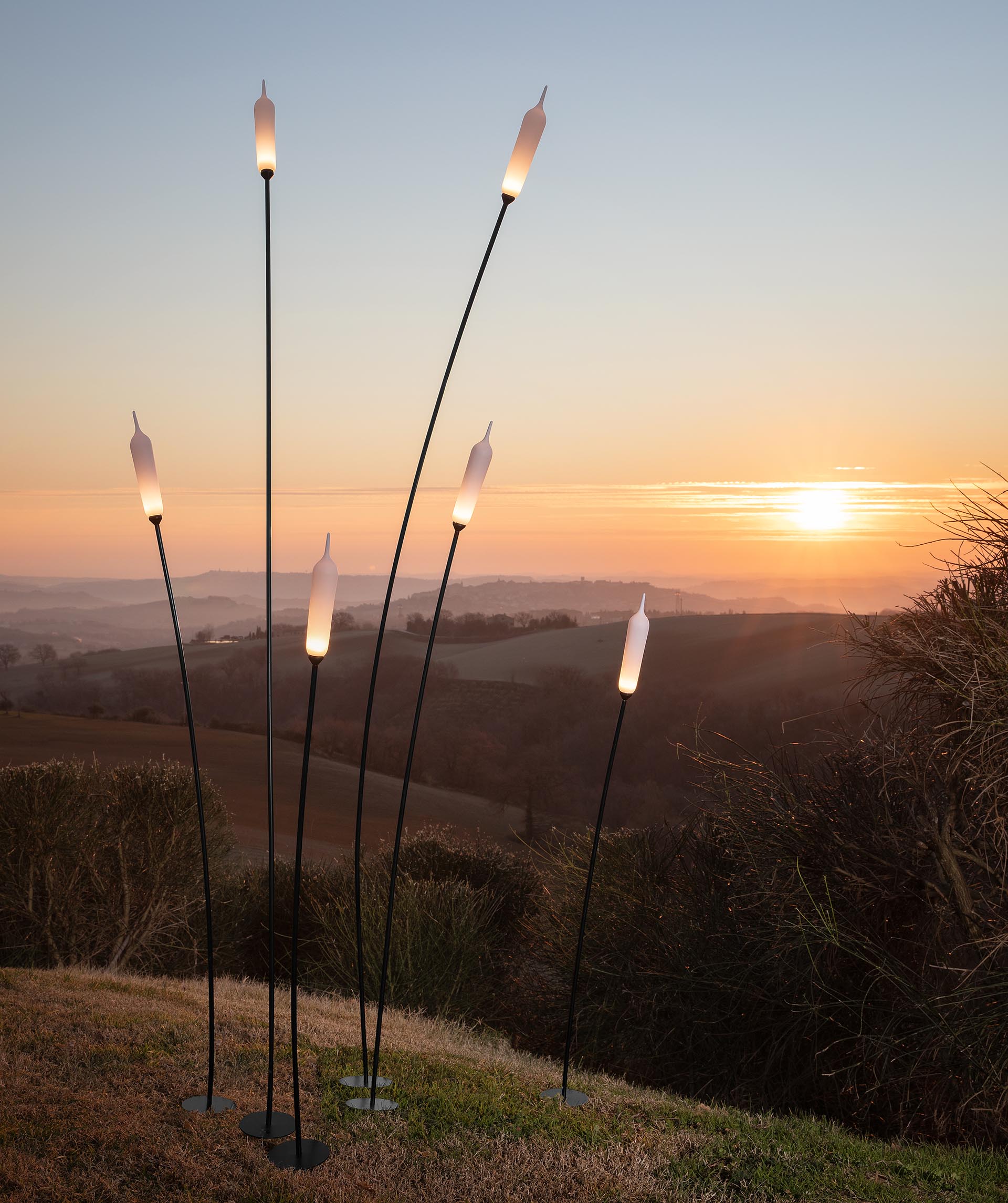 Modern outdoor lighting that can be grouped together to create a similar shape to that of Cattail plants.