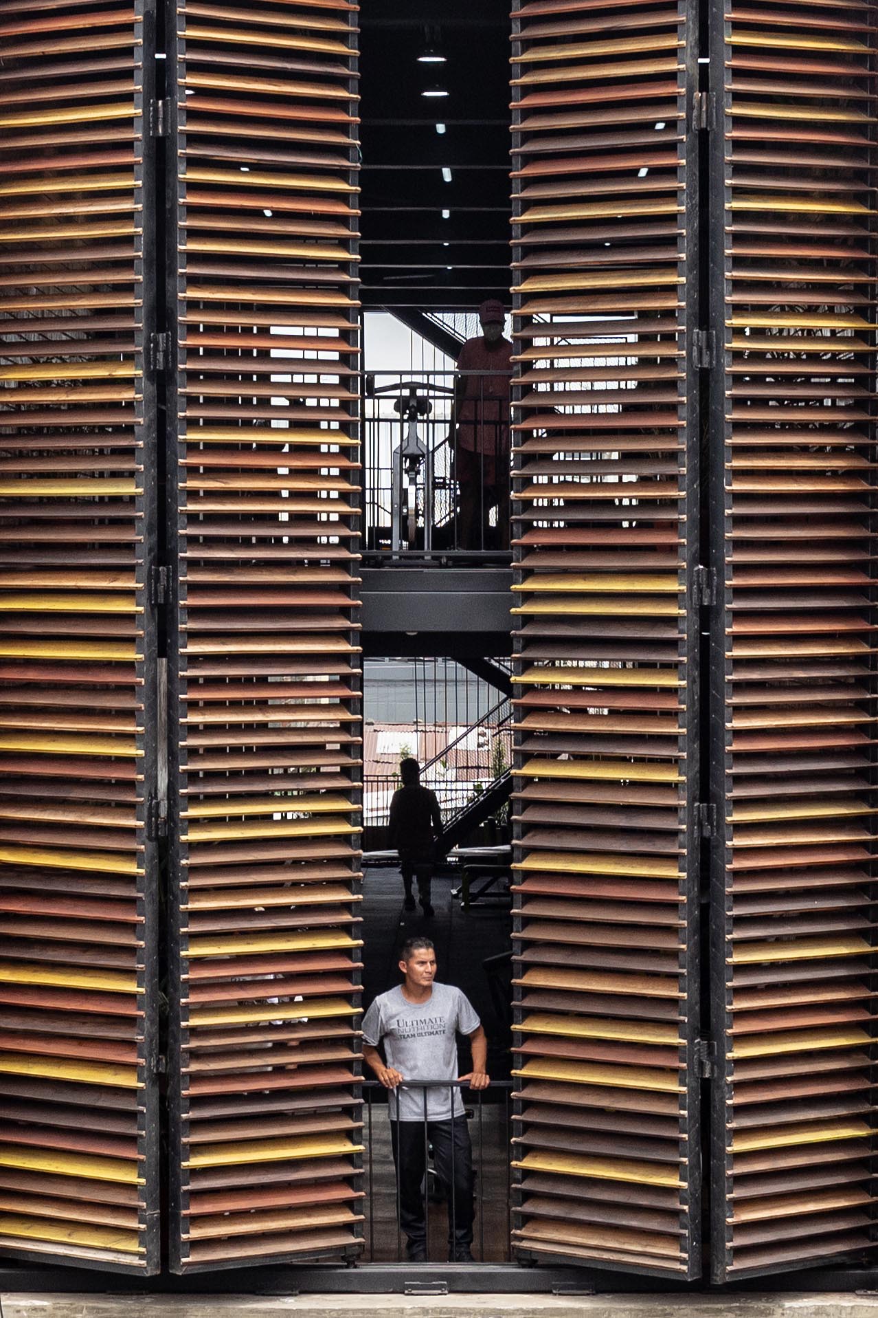 Oversized wood screens cover the facade of a gym.