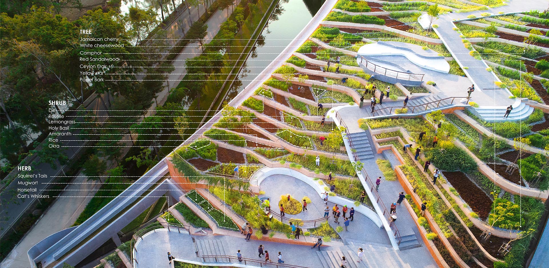 A terraced rooftop farm with herbs, shrubs, and trees, that grow food for students.