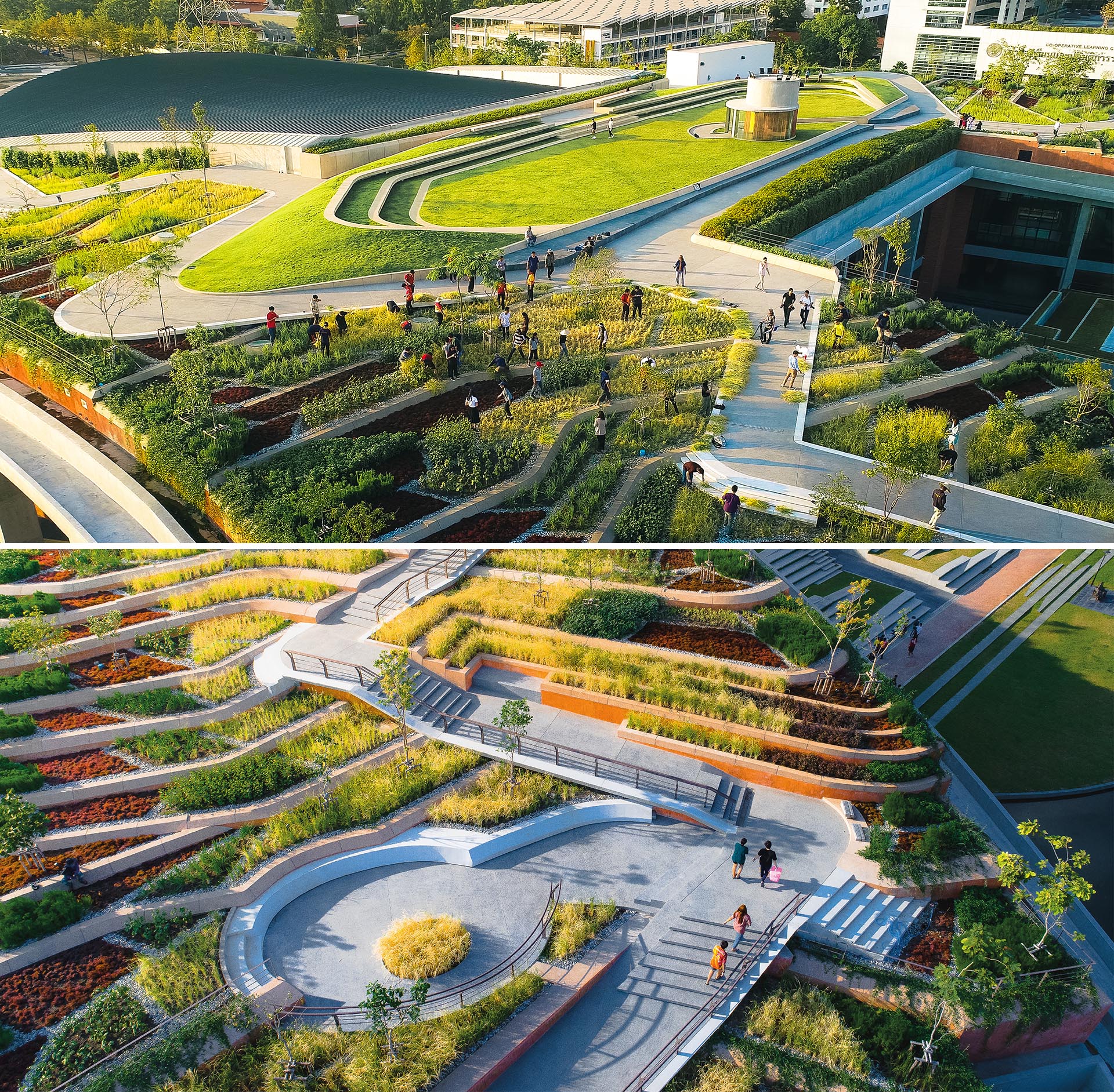 A terraced landscape creates an organic farm on an unused rooftop.