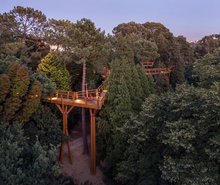 A Treetop Canopy Walk In Portugal Provides A Unique View Of The Trees