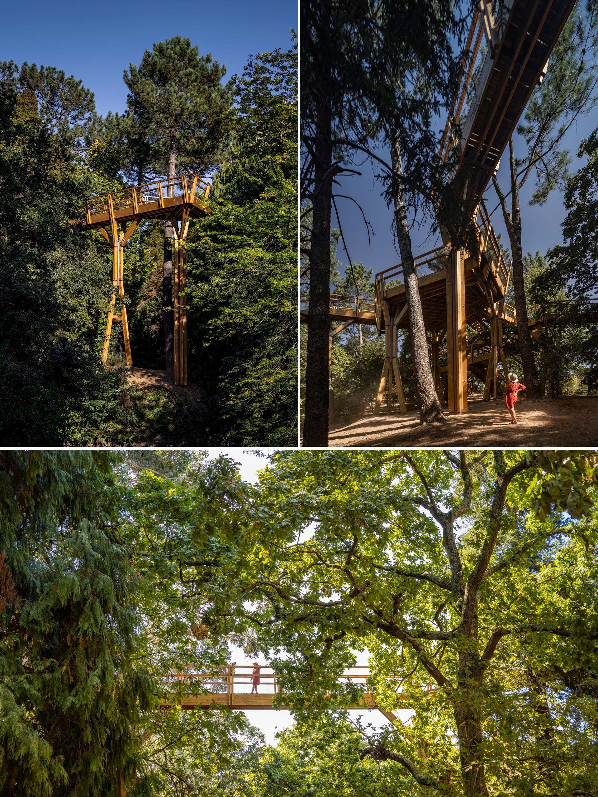 A treetop canopy walk in Portugal gives visitors a unique view.