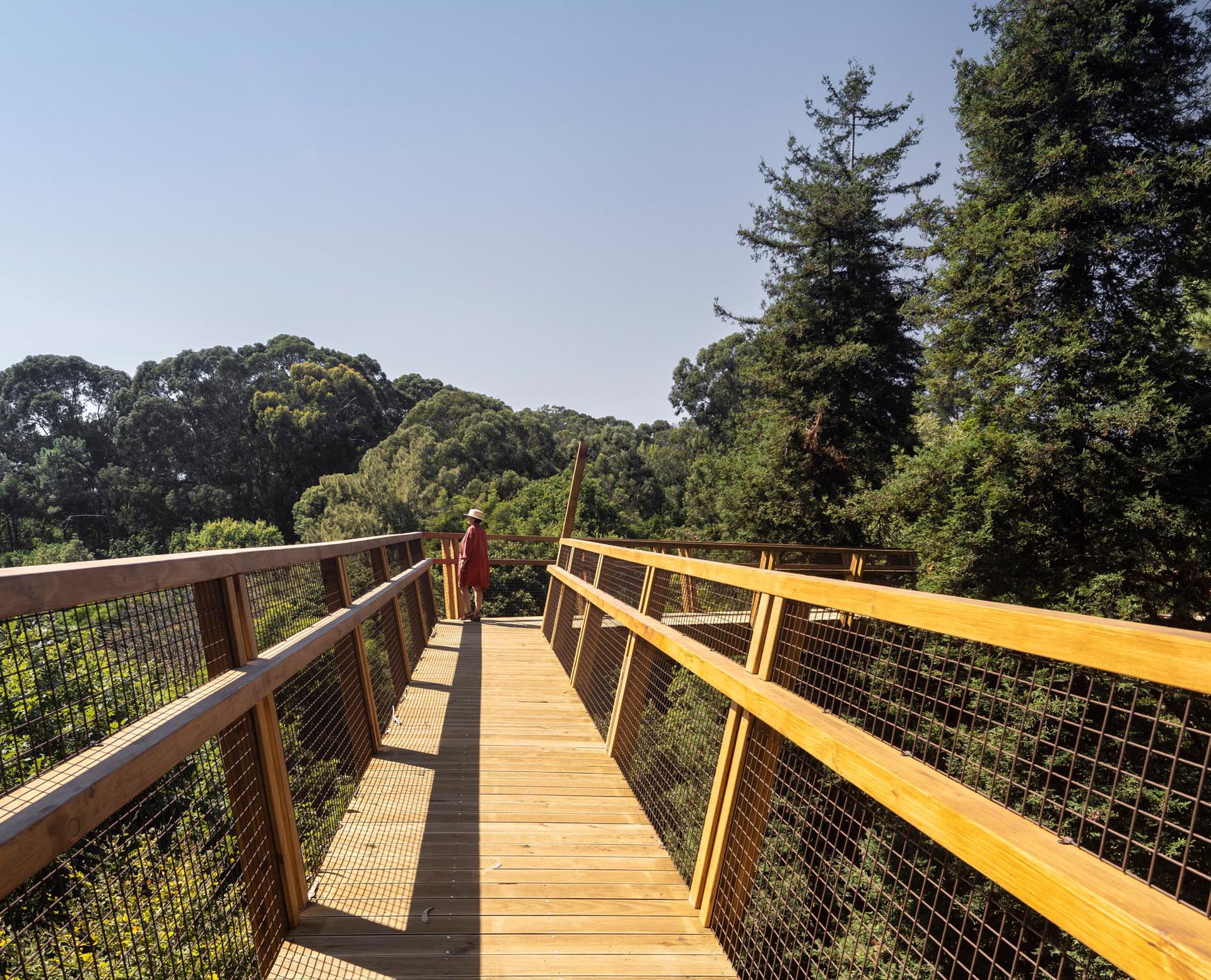 A raised wood walkway weaves through the treetops of a park in Portugal.