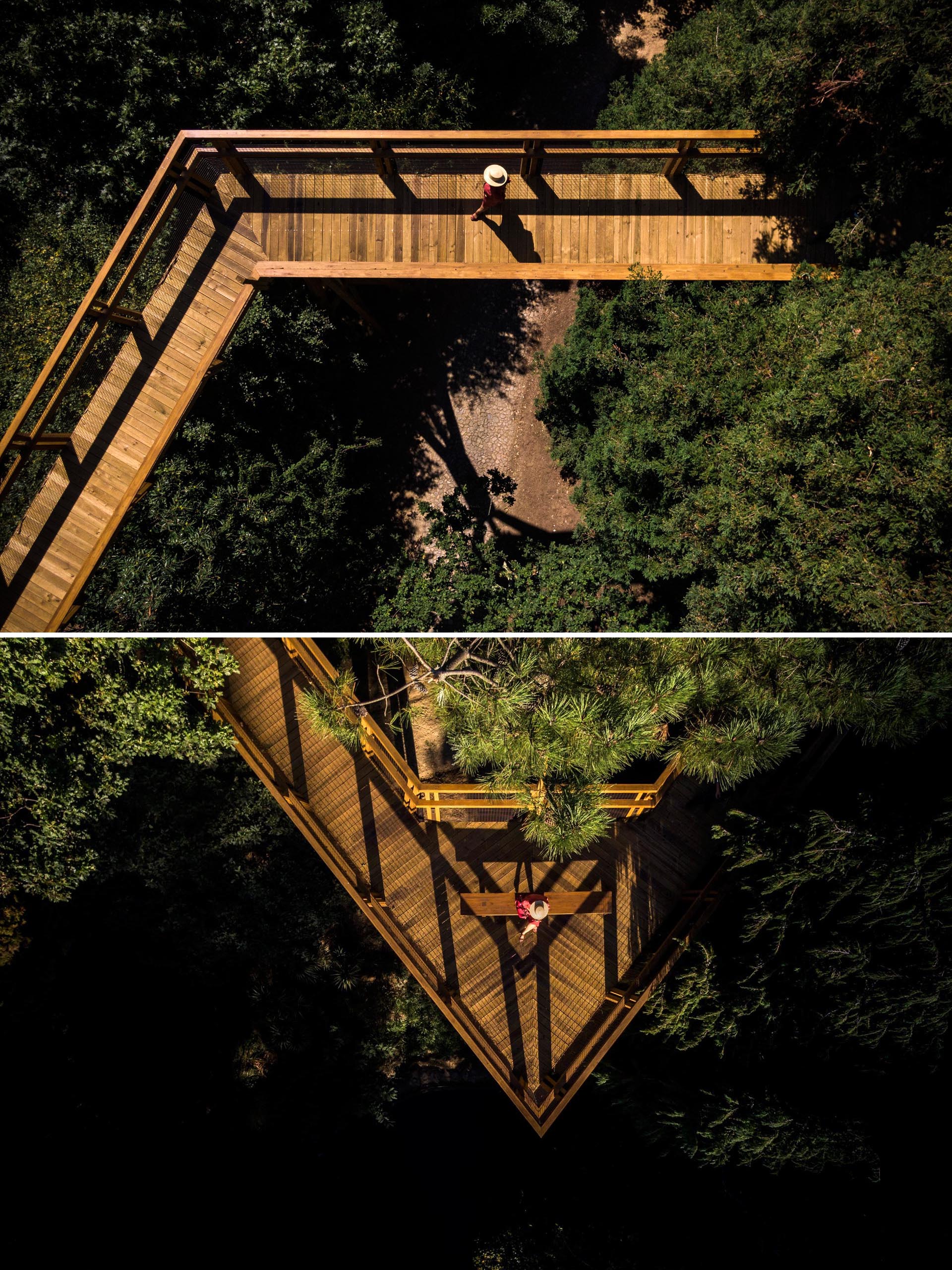 A treetop canopy walk weaves it way through the trees for amazing views.