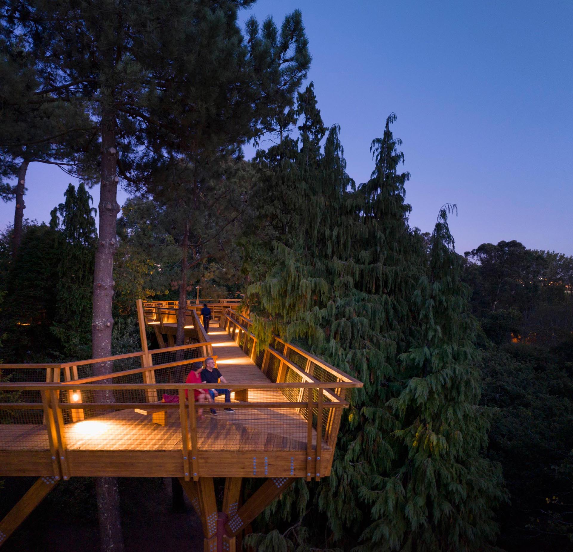 A treetop canopy walk in Portugal has lighting for nighttime strolls.
