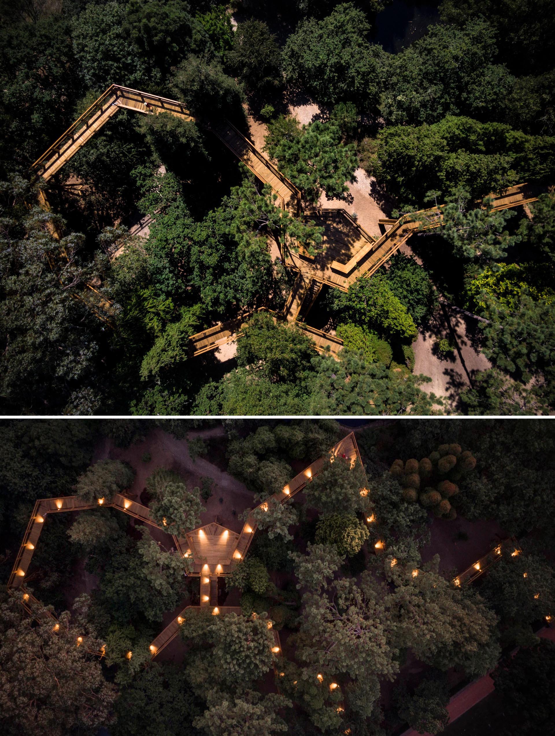 Walk through the trees on a treetop canopy walk in Portugal.