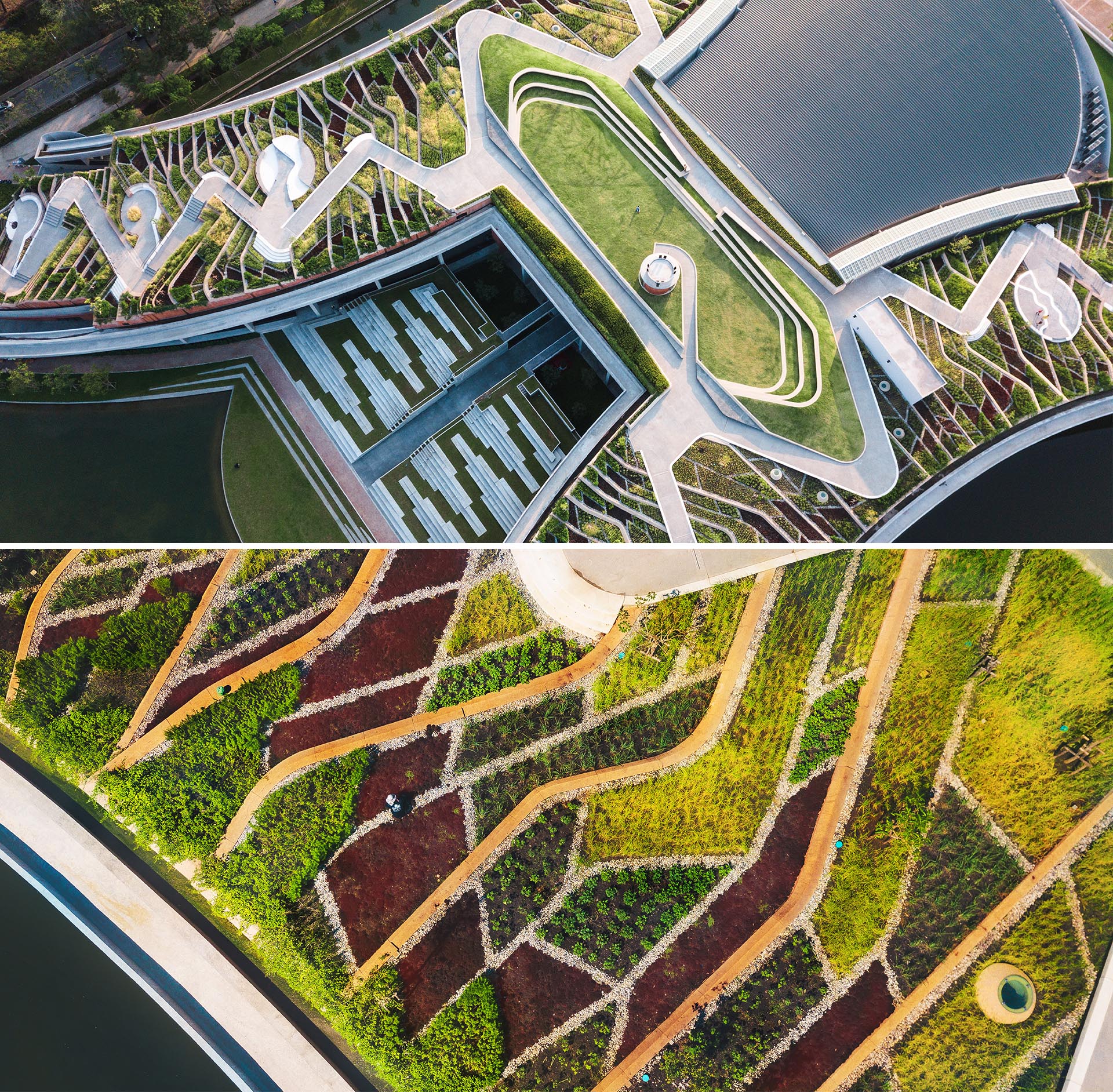 A urban farm is located on a rooftop in Thailand.