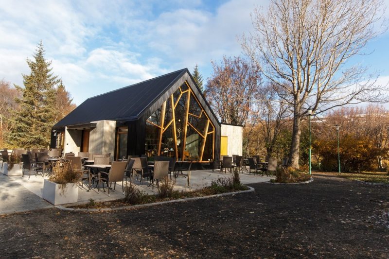 Wood Window Frames Designed To Look Like Tree Branches Add A Creative Touch To This Café