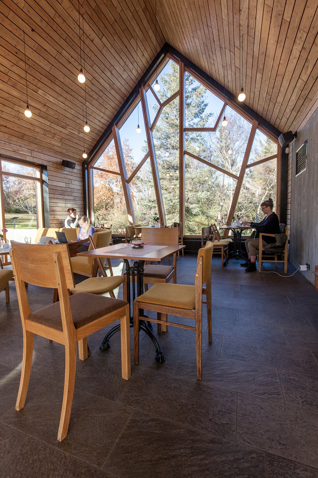 Wood window frames with an irregular shape that represent tree branches.