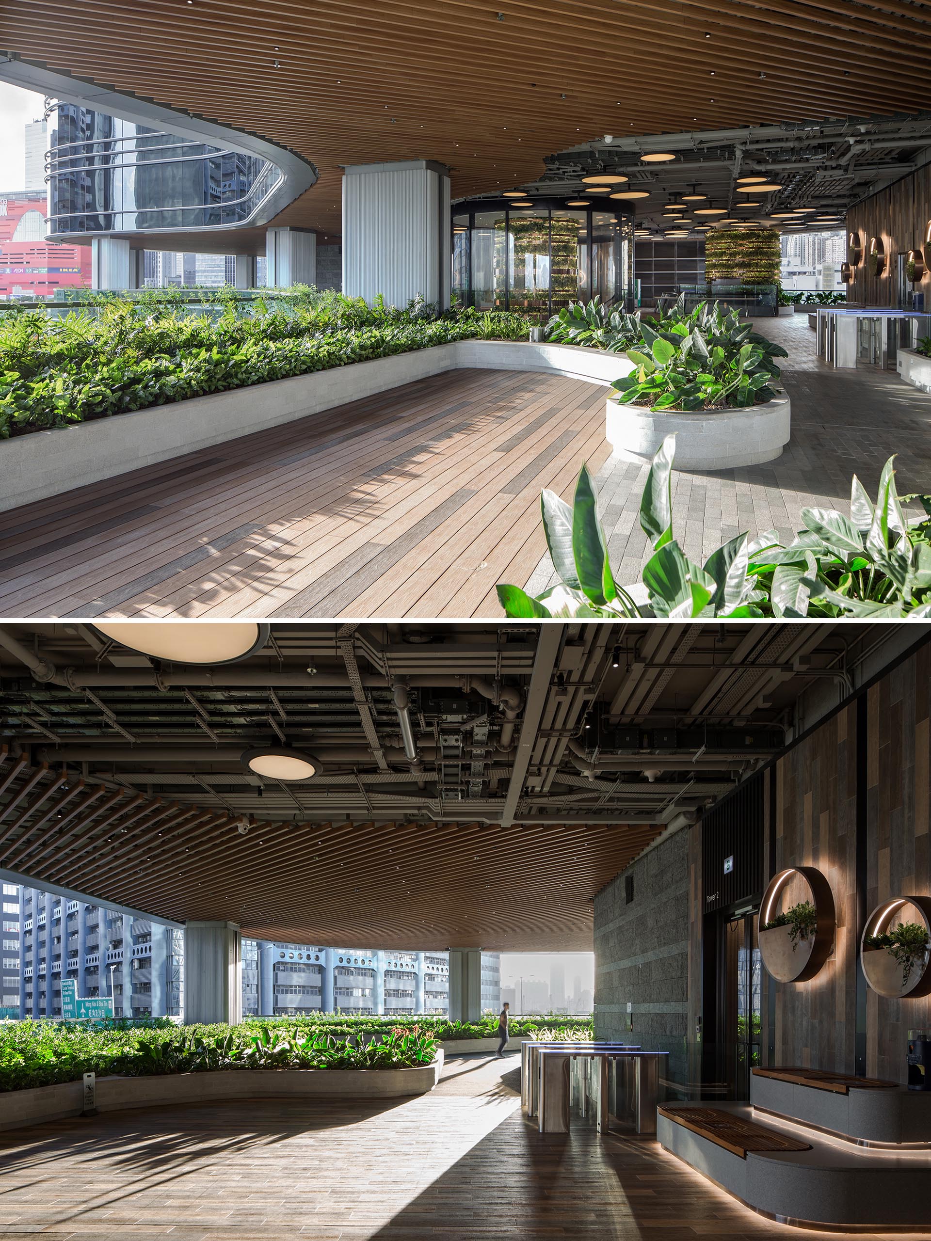 Low curved borders define the planted areas of this building's outdoor space.