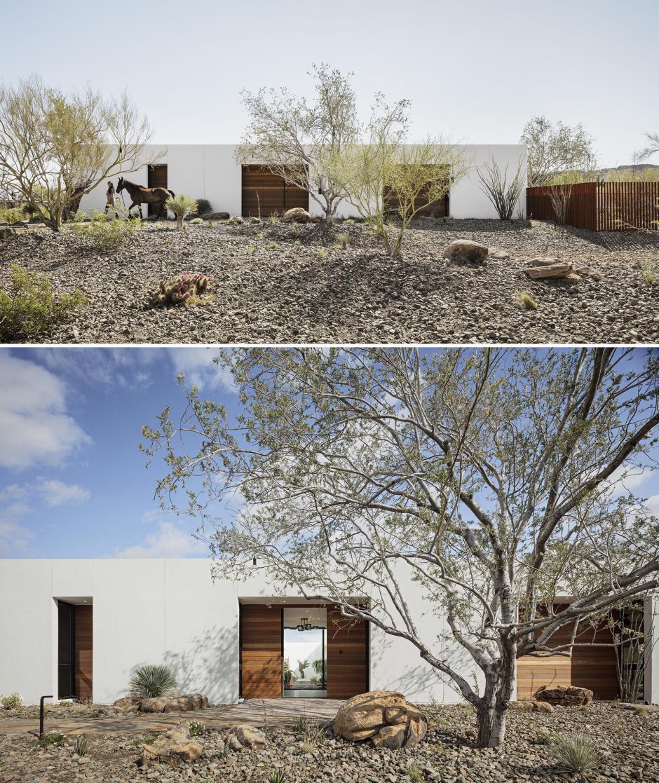 This Modern House Was Designed To Integrate The Desert Flora And Fauna