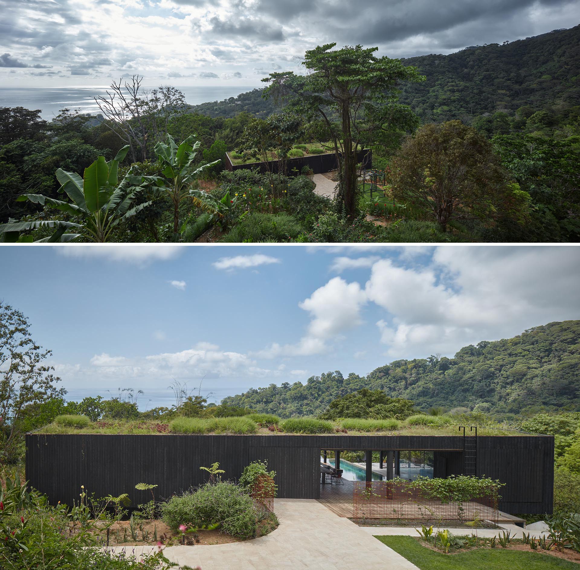A modern house with a burnt wood facade and a lush green roof.