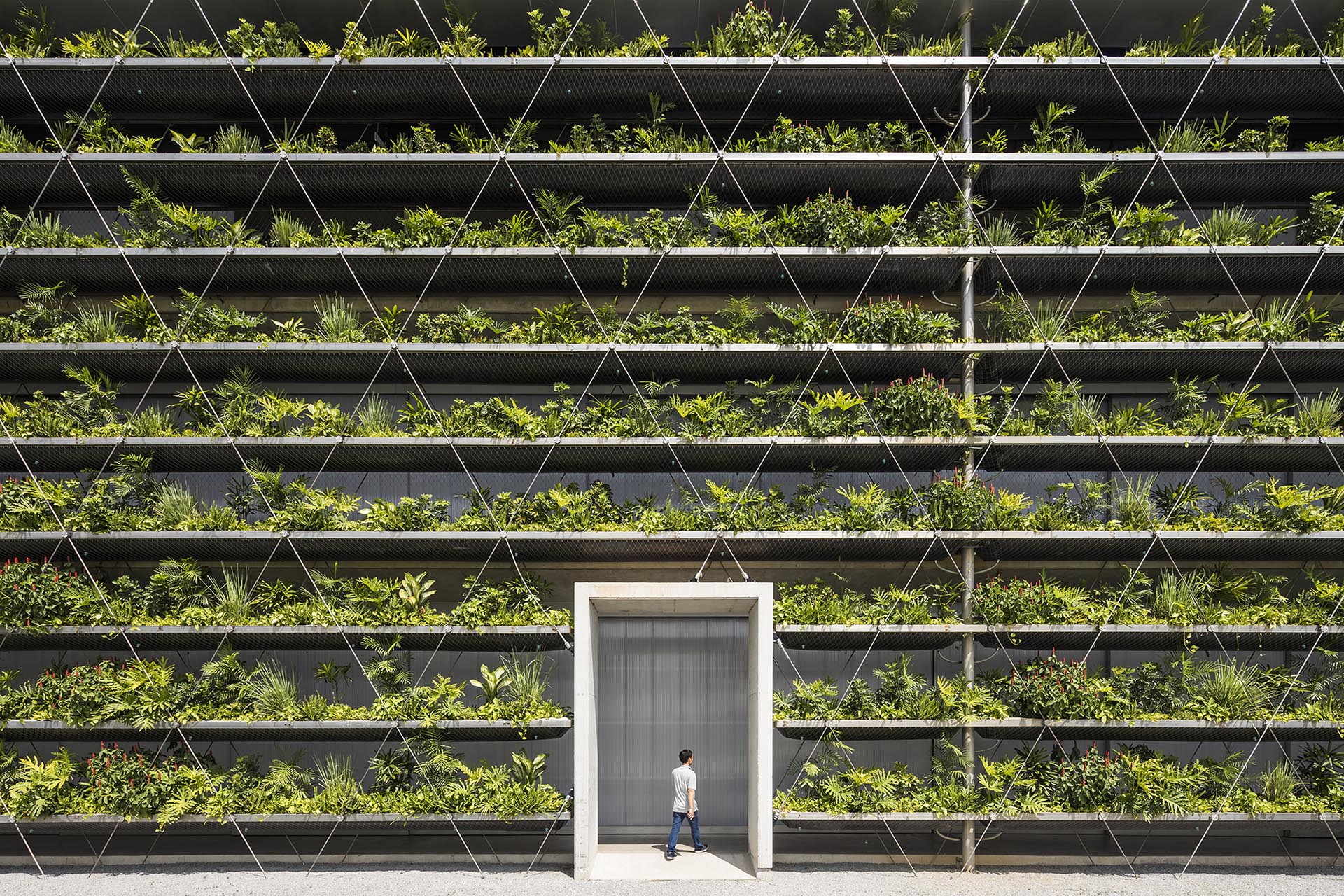 Rows of plants cover the facade of a factory in Vietnam, filtering out the rain and sun, and helping improve the quality of the air and the temperatures within the factory.