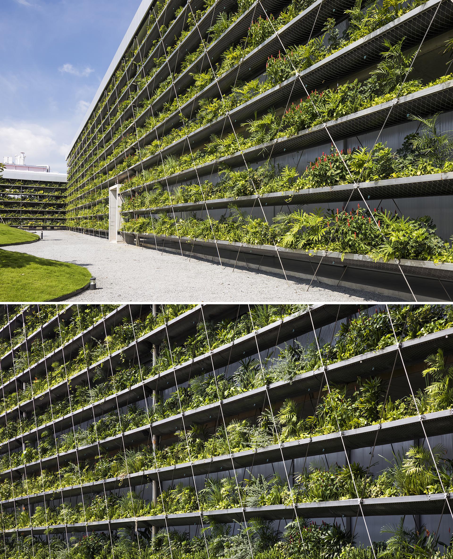 Rows of plants cover the exterior of a factory.