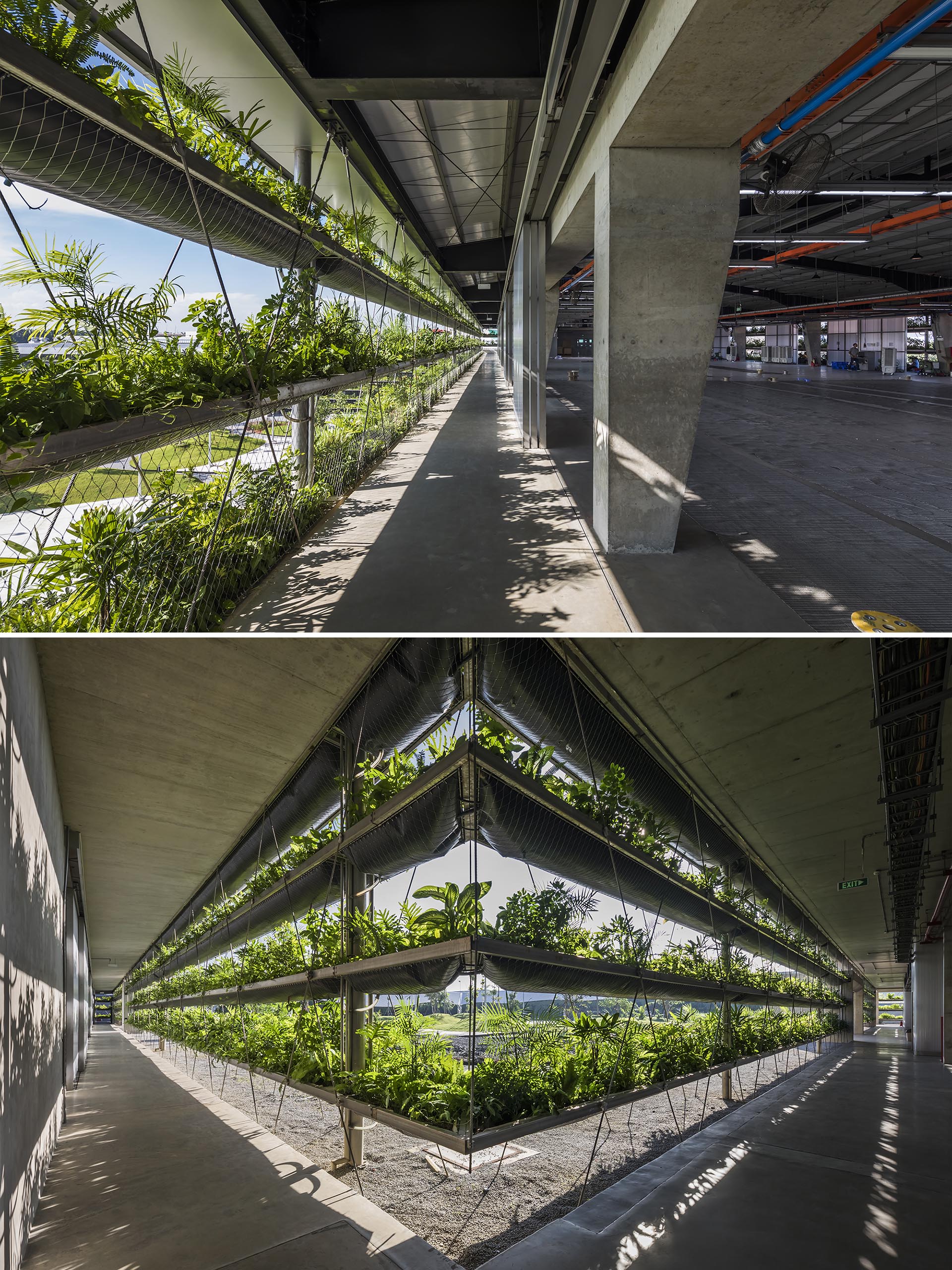 Rows of plants help with temperature and air quality inside a factory.