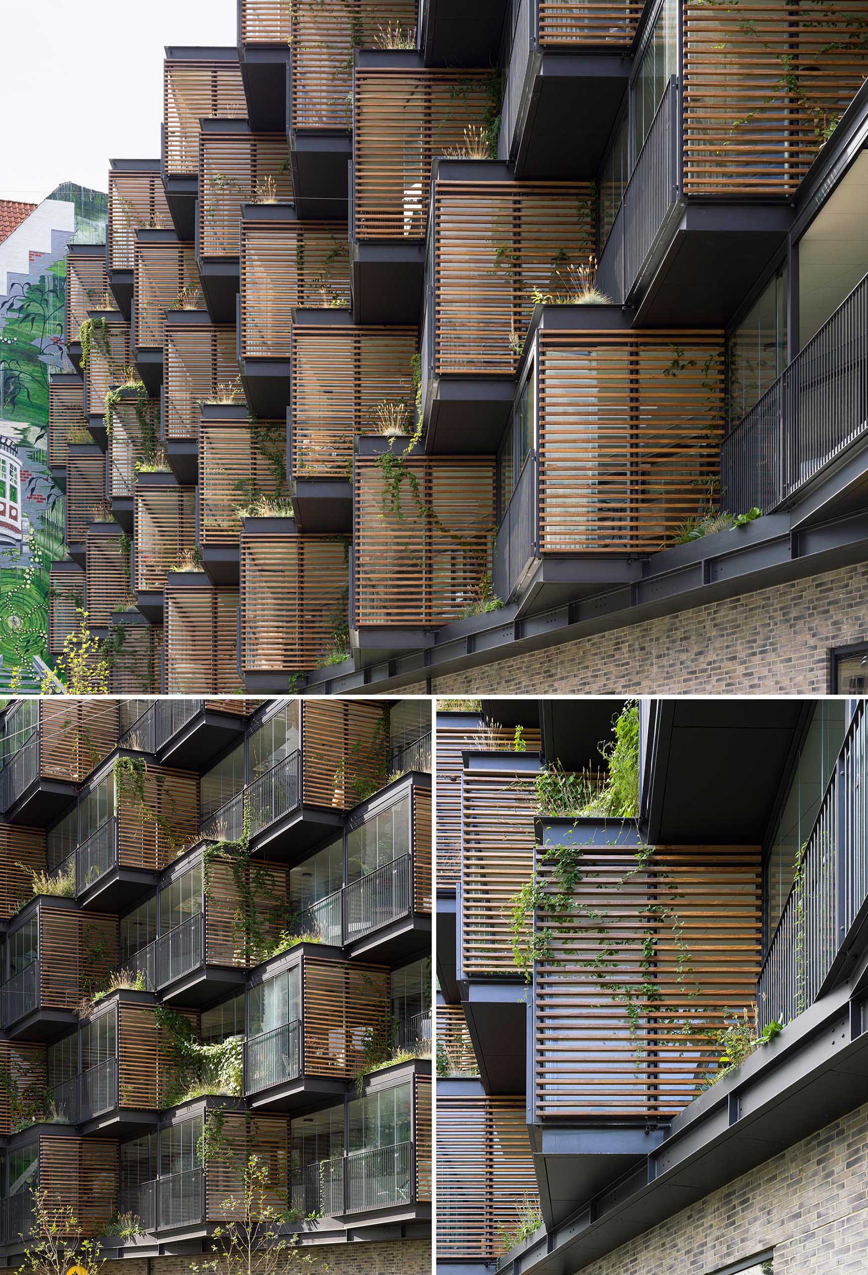 A building facade with wood screens for shade and ivy.