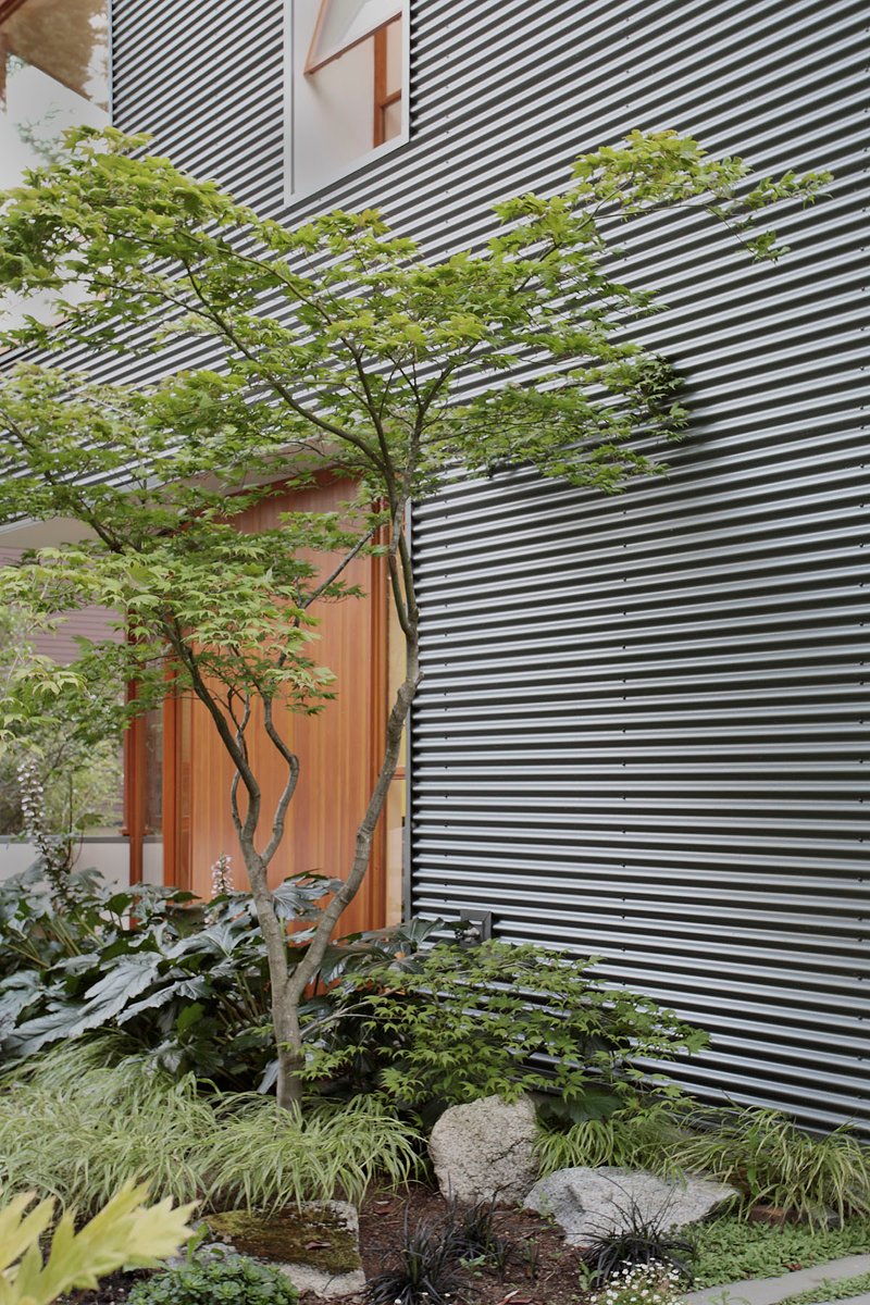 A modern house with corrugated metal siding.