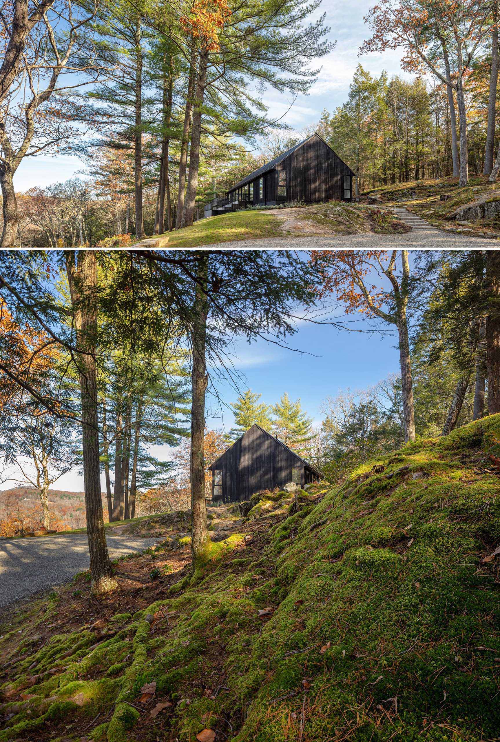 A modern black house with burnt wood siding that's surrounded by trees.