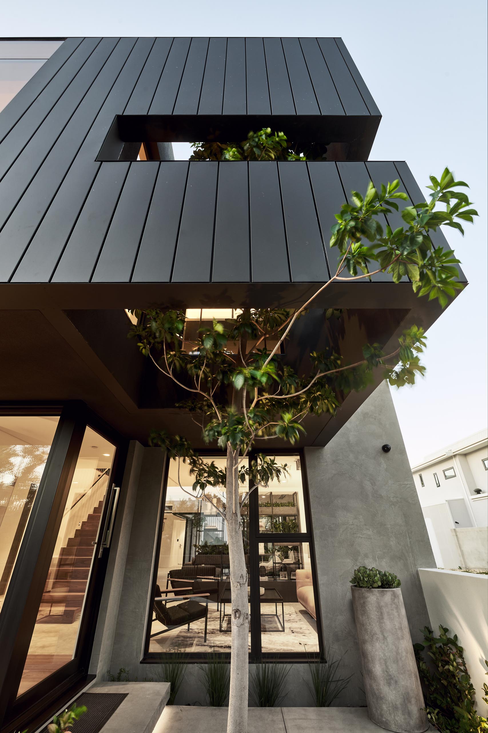 Within the matte black siding of this modern house, there's an opening to allow a tree to rise from within.