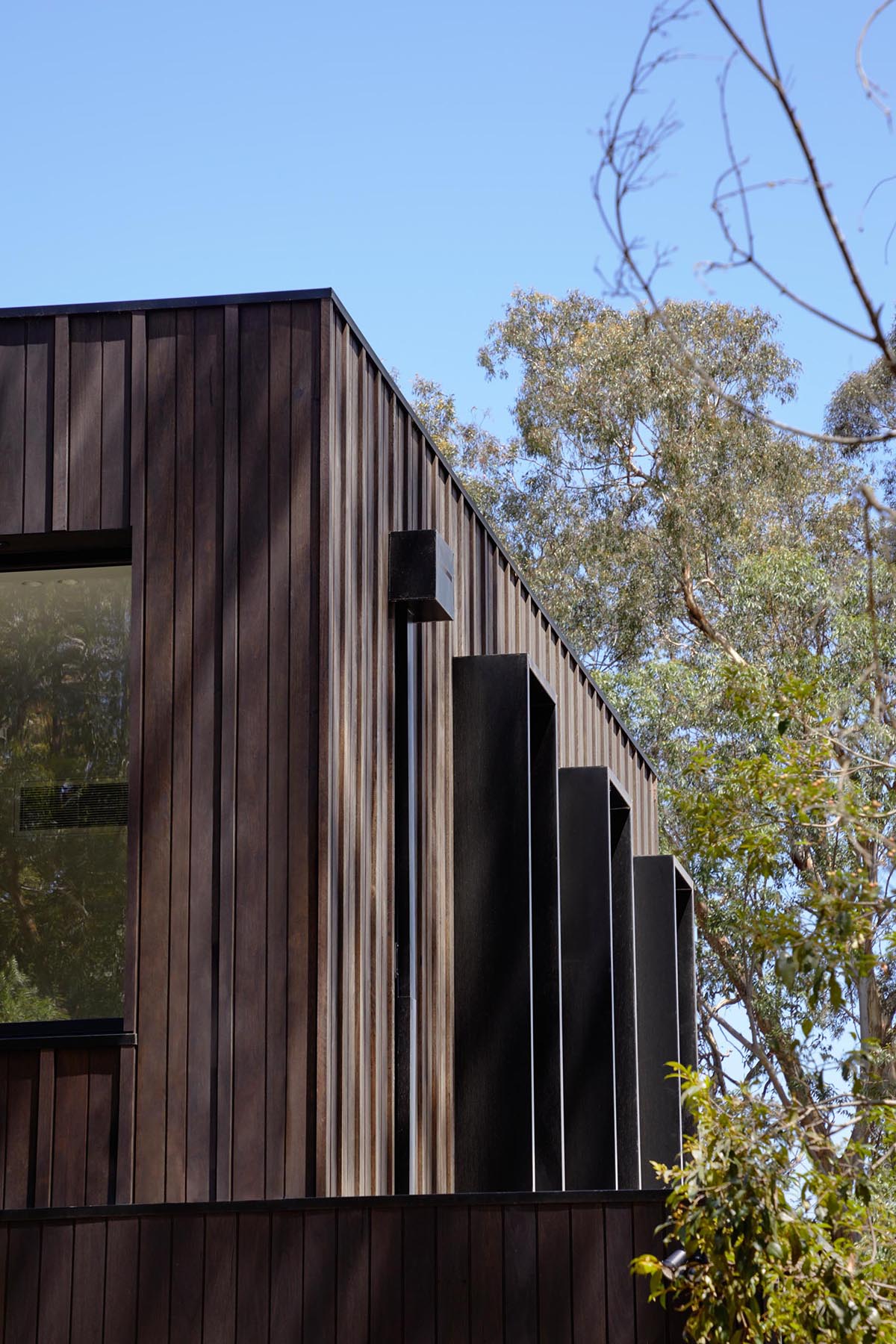 The exterior of this modern home showcases Blackbutt timber cladding that's accented by black metal window frames.