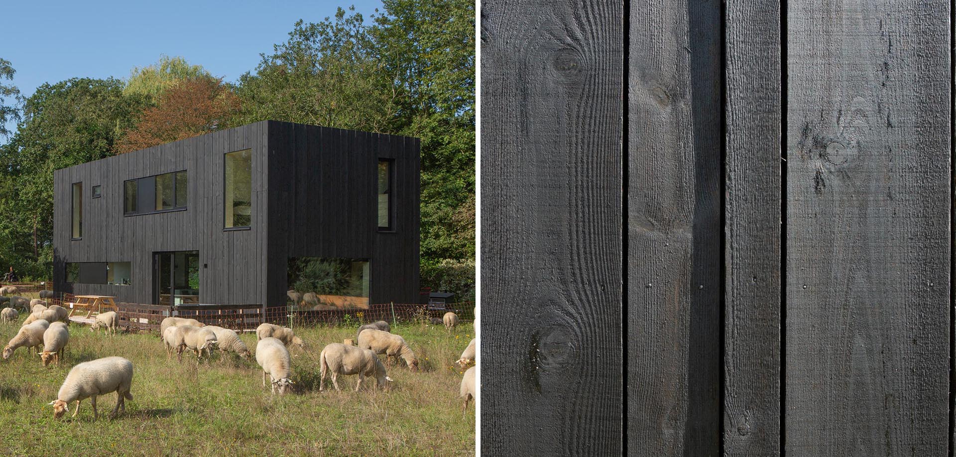 A modern prefab home with black wood siding and black window frames.