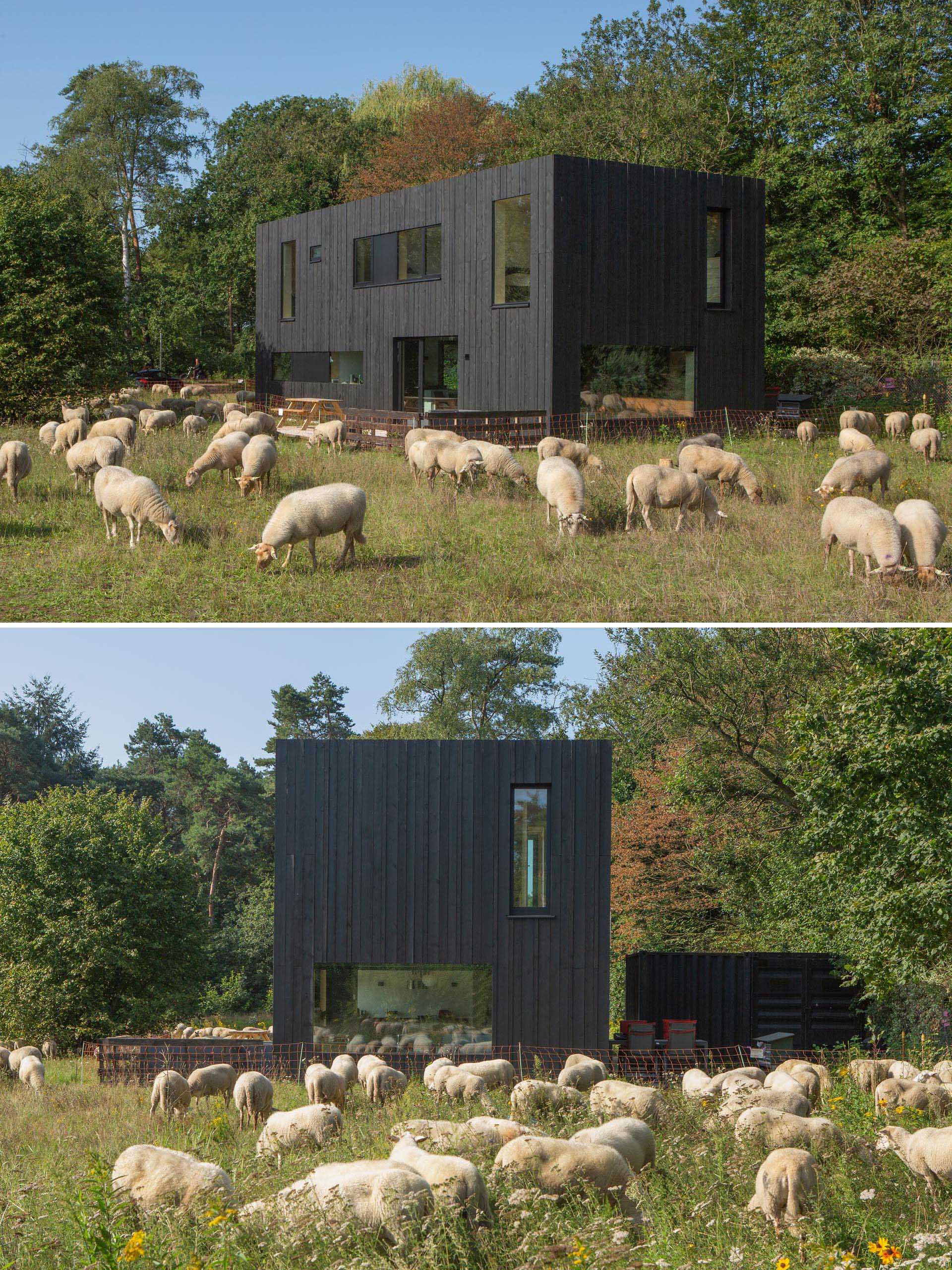 A modern matte black home with black window frames and black wood siding.