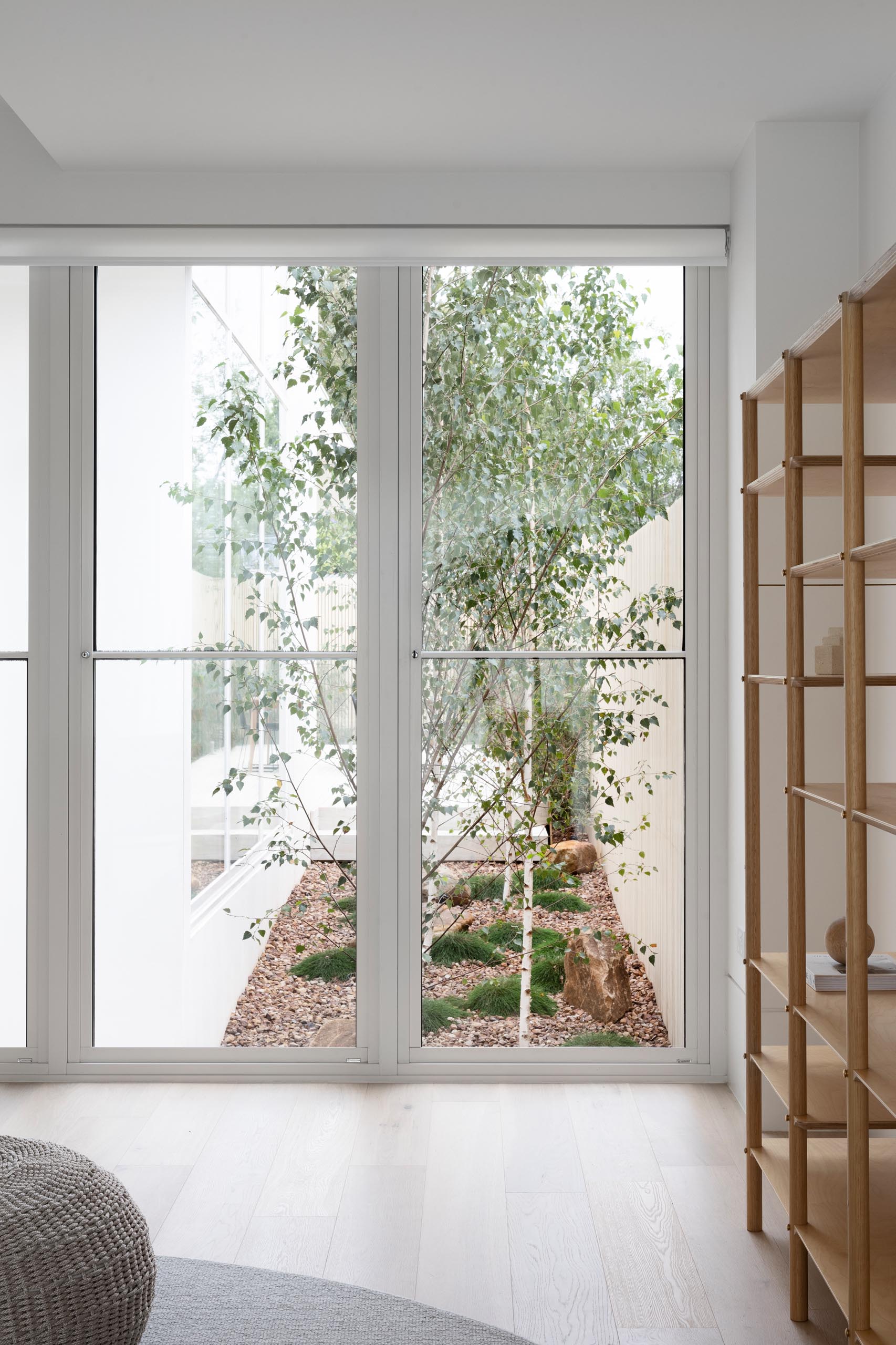 Large windows are placed thoughtfully through this modern house, to make the most of solar gains, ventilation, and views.