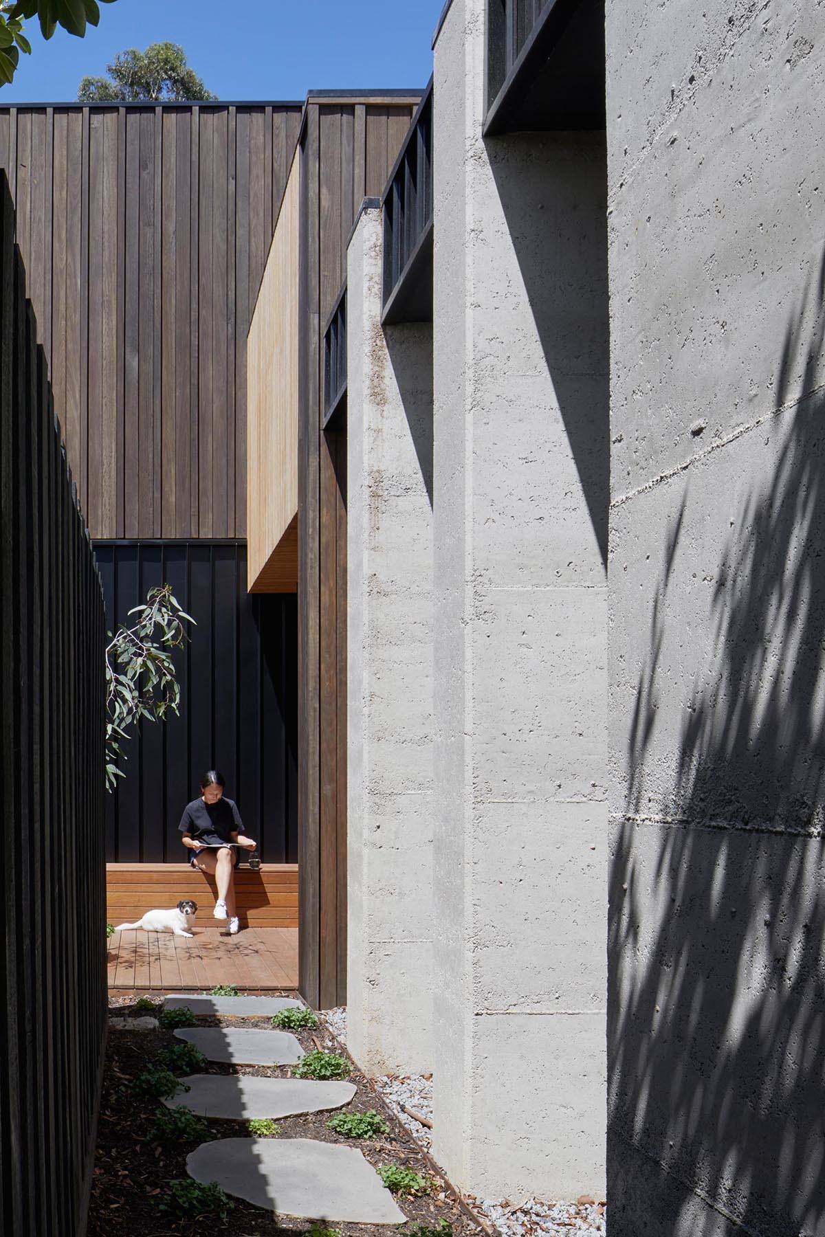 A modern home with dark wood and concrete exterior.