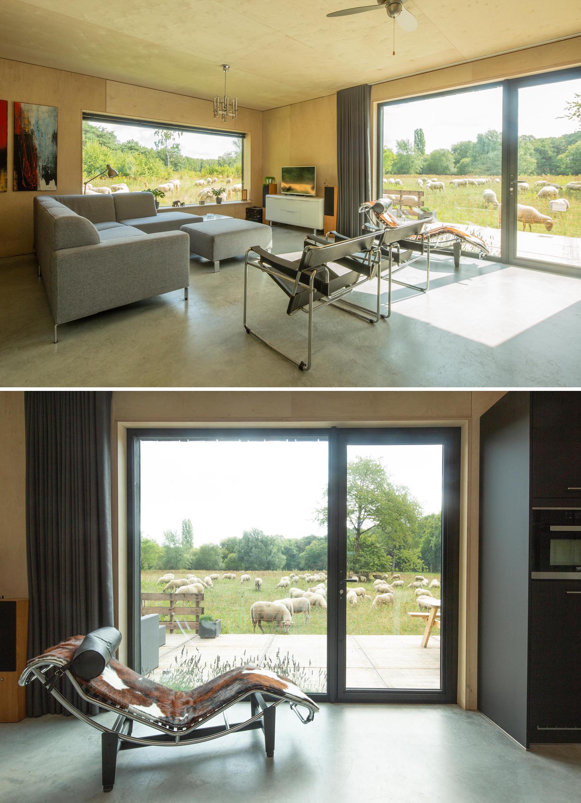 A modern home with birch plywood that covers the walls in the living room, and matte black window frames.