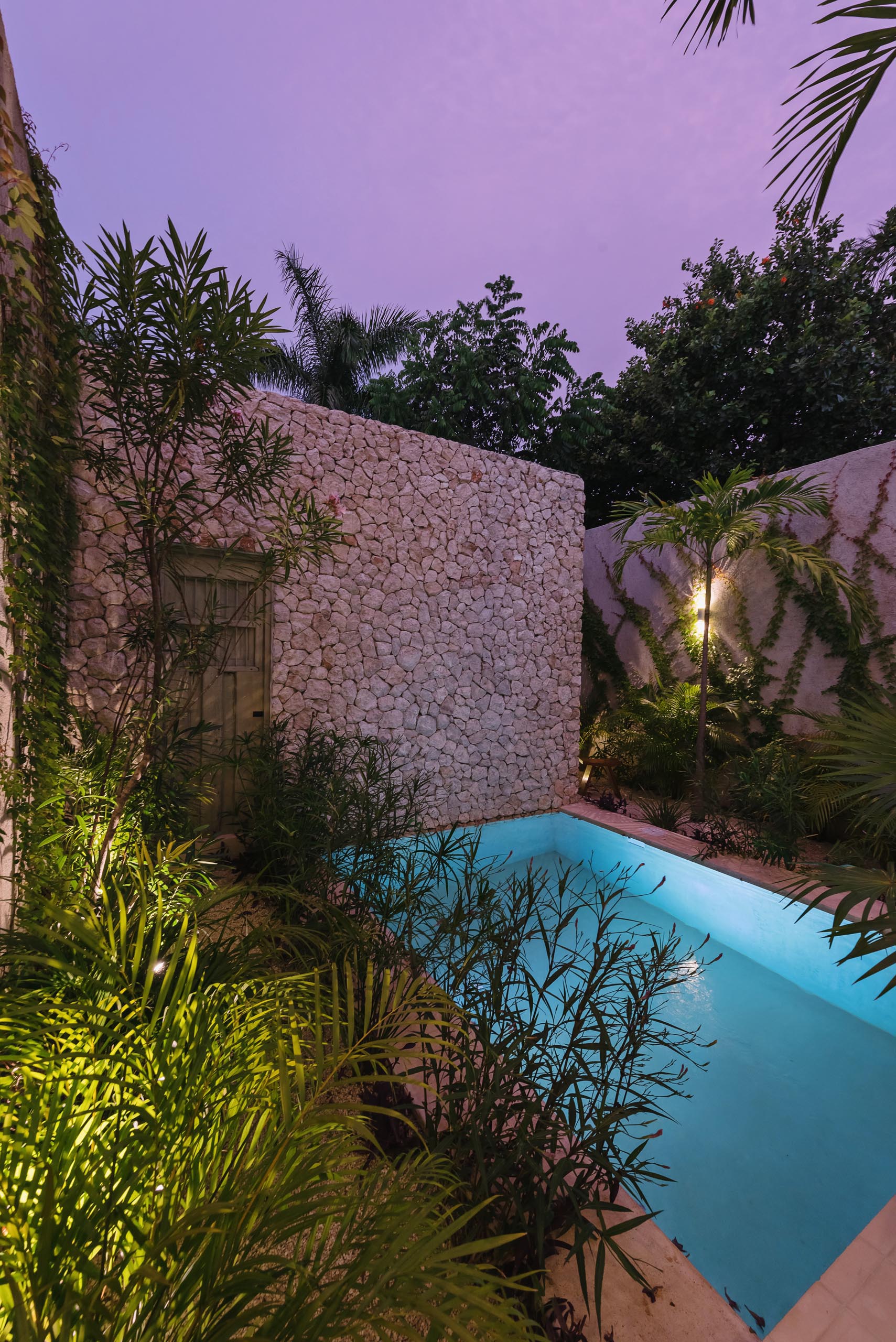 A small swimming pool with a stone wall and plenty of plants.