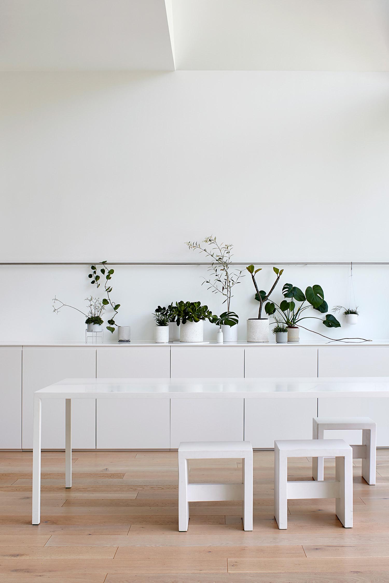 A modern dining room with minimalist white furniture and potted plants for decoration.