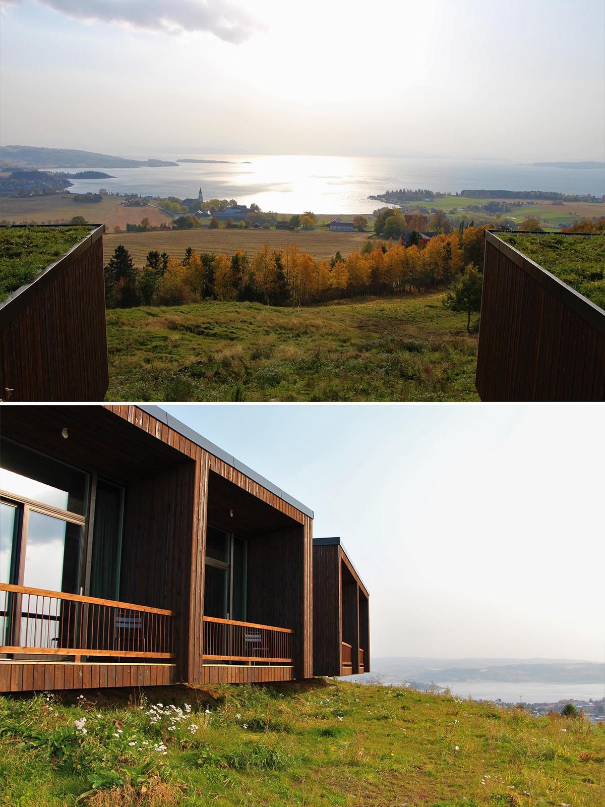 Hotel rooms with green roofs that allow them to blend into the hill.