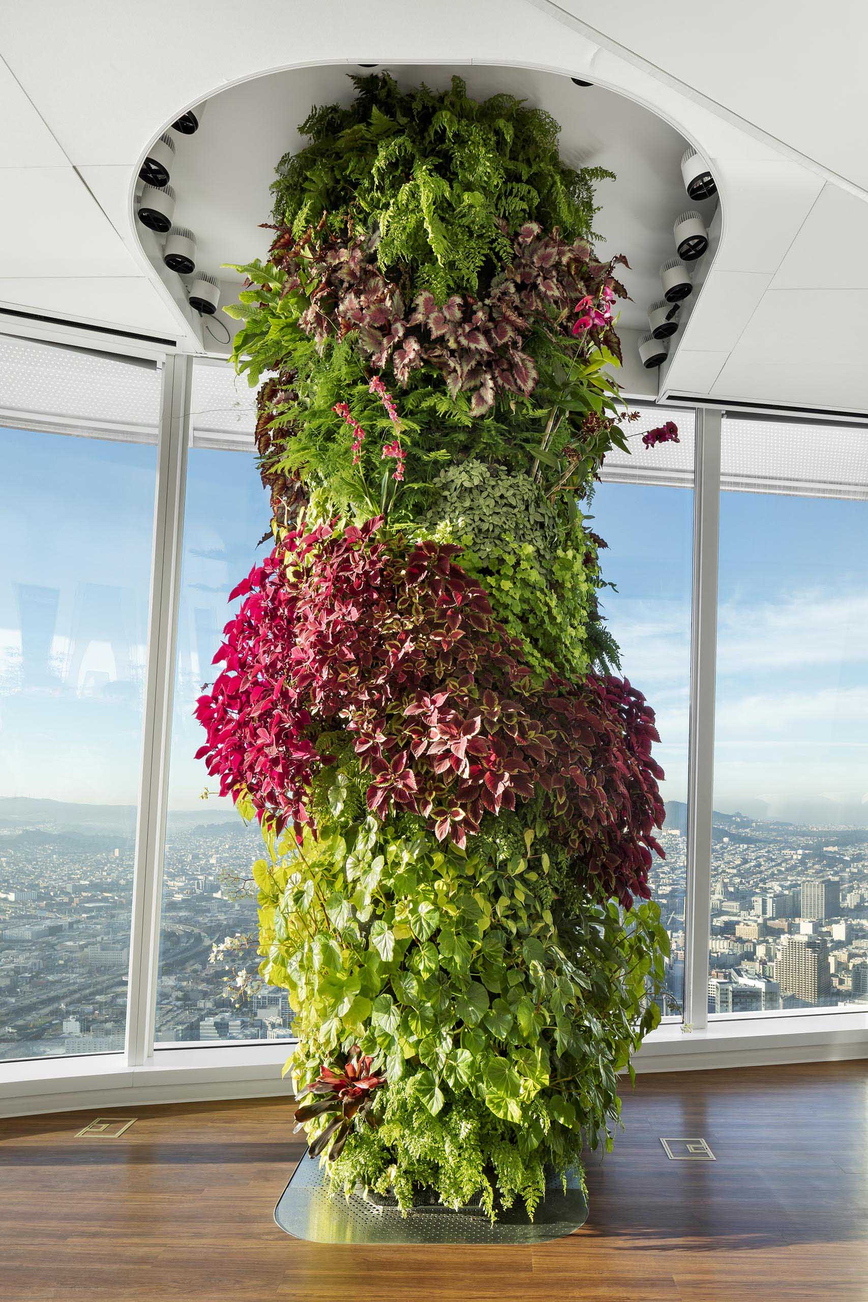 A 13 foot high vertical garden has been used to hide a building column.