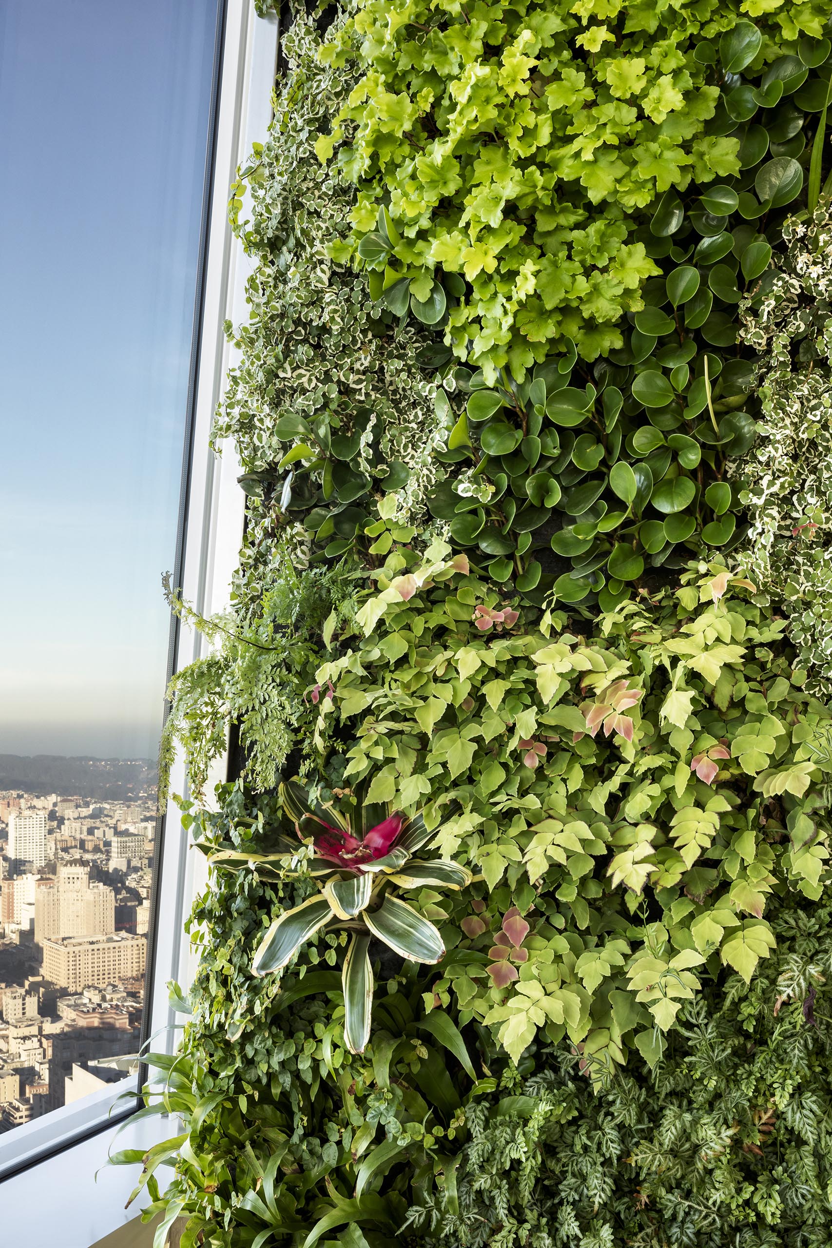 A vertical garden with edible herbs hides a building column.