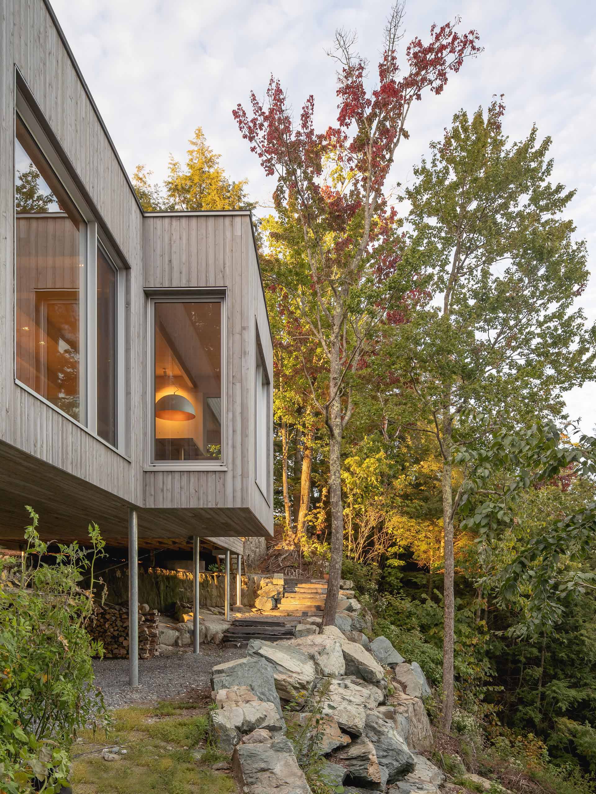 This modern house in the forest is clad in eastern white cedar, which was pretreated with a product that accelerates the greying process