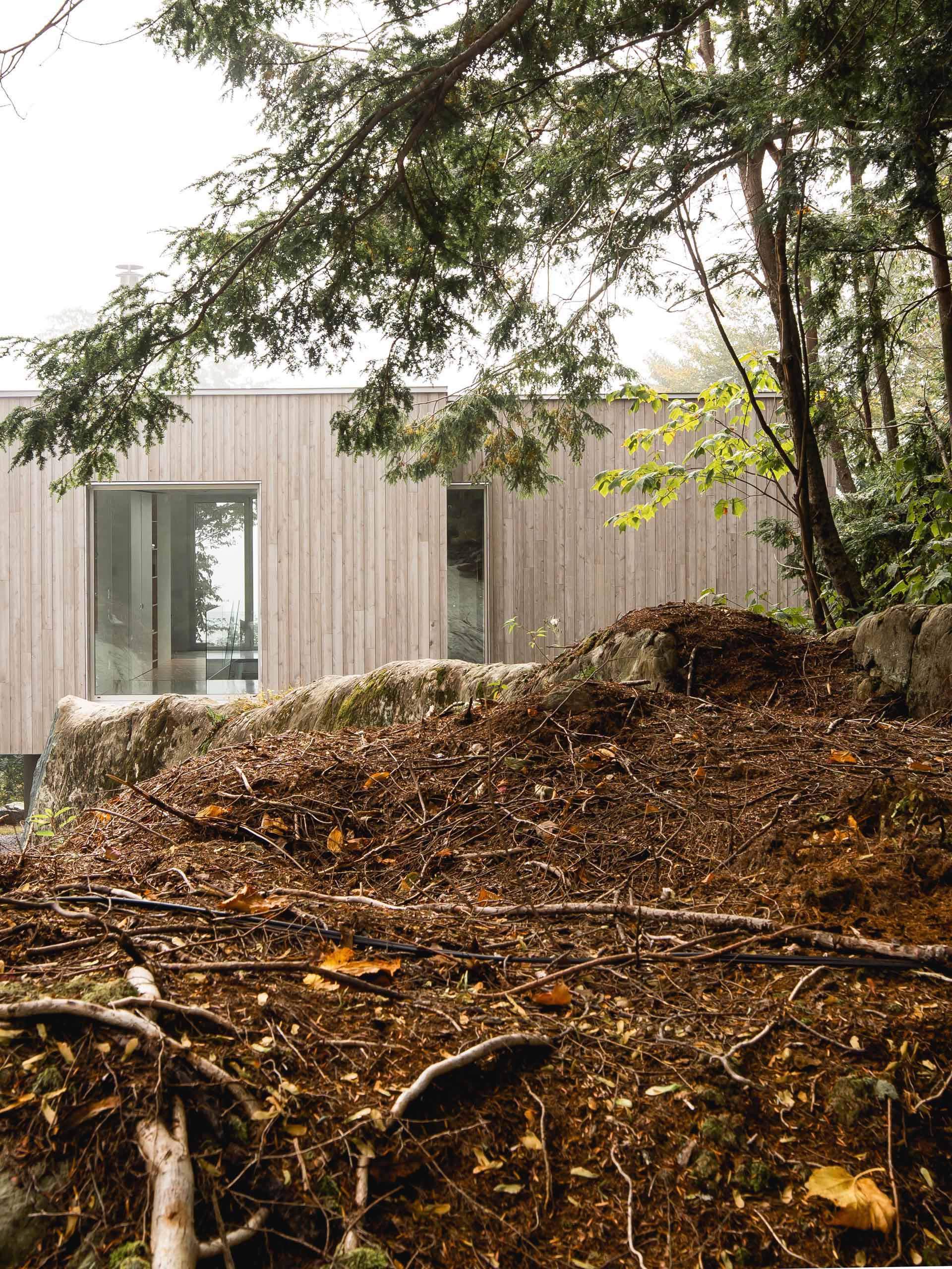 This modern house in the forest is clad in eastern white cedar, which was pretreated with a product that accelerates the greying process