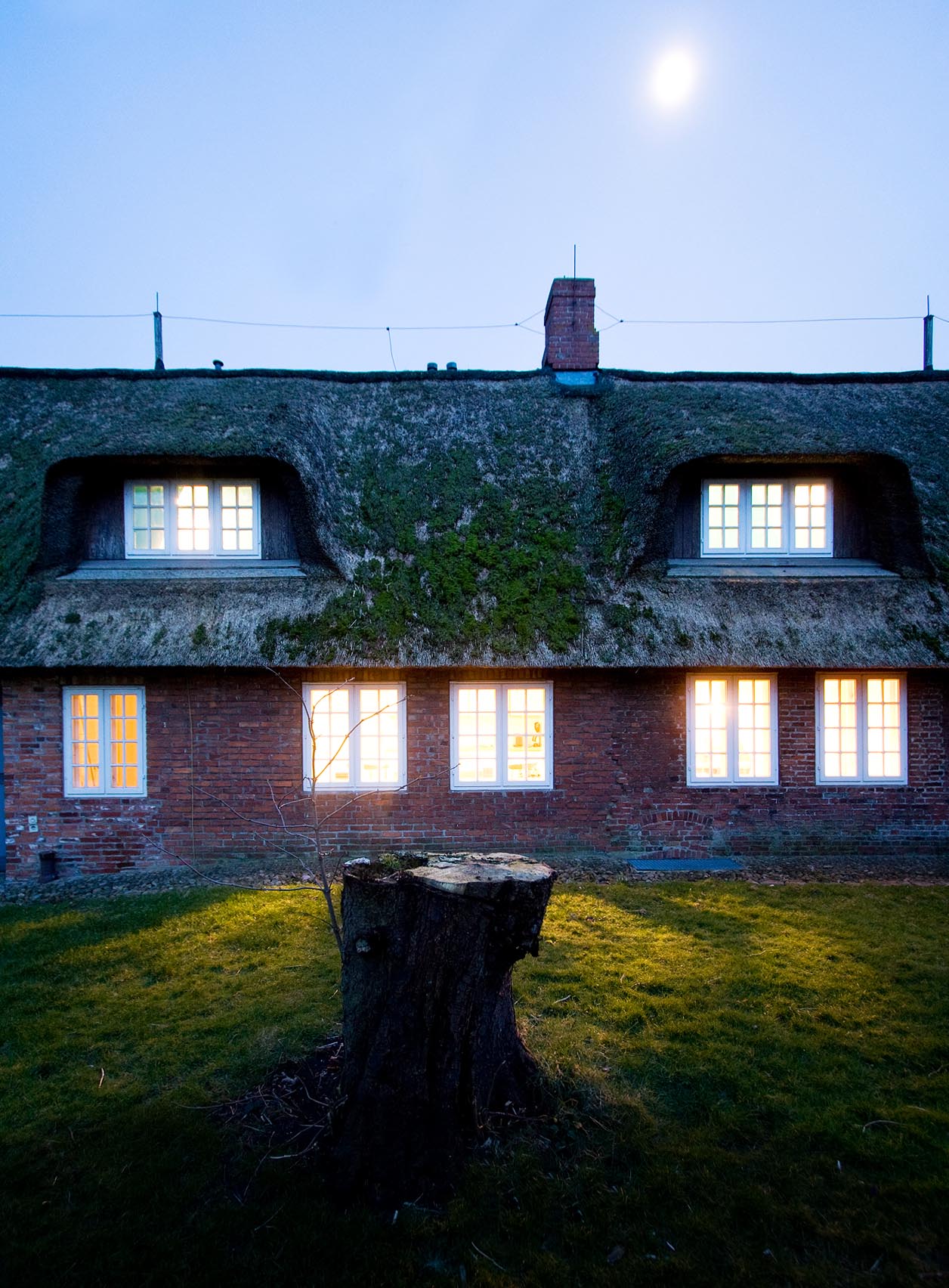 A brick house with a thatched roof and white window frames.