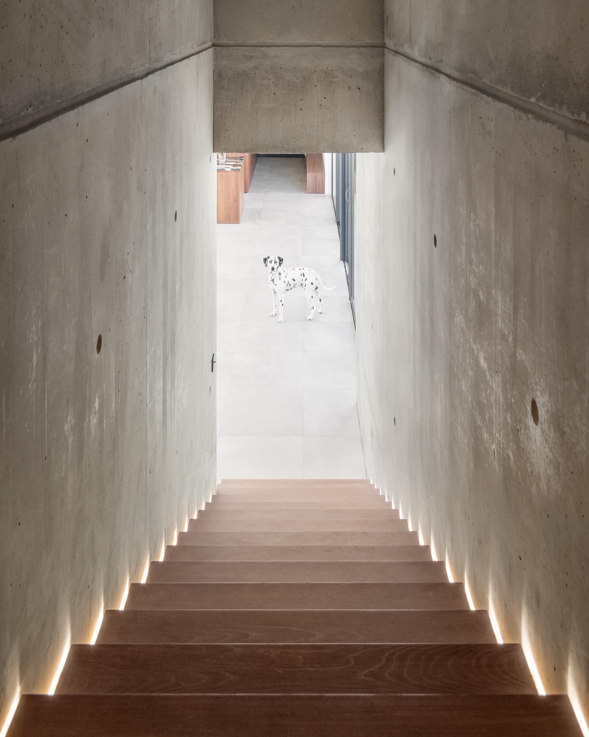 A modern concrete home with wood stairs that have hidden LED lighting.