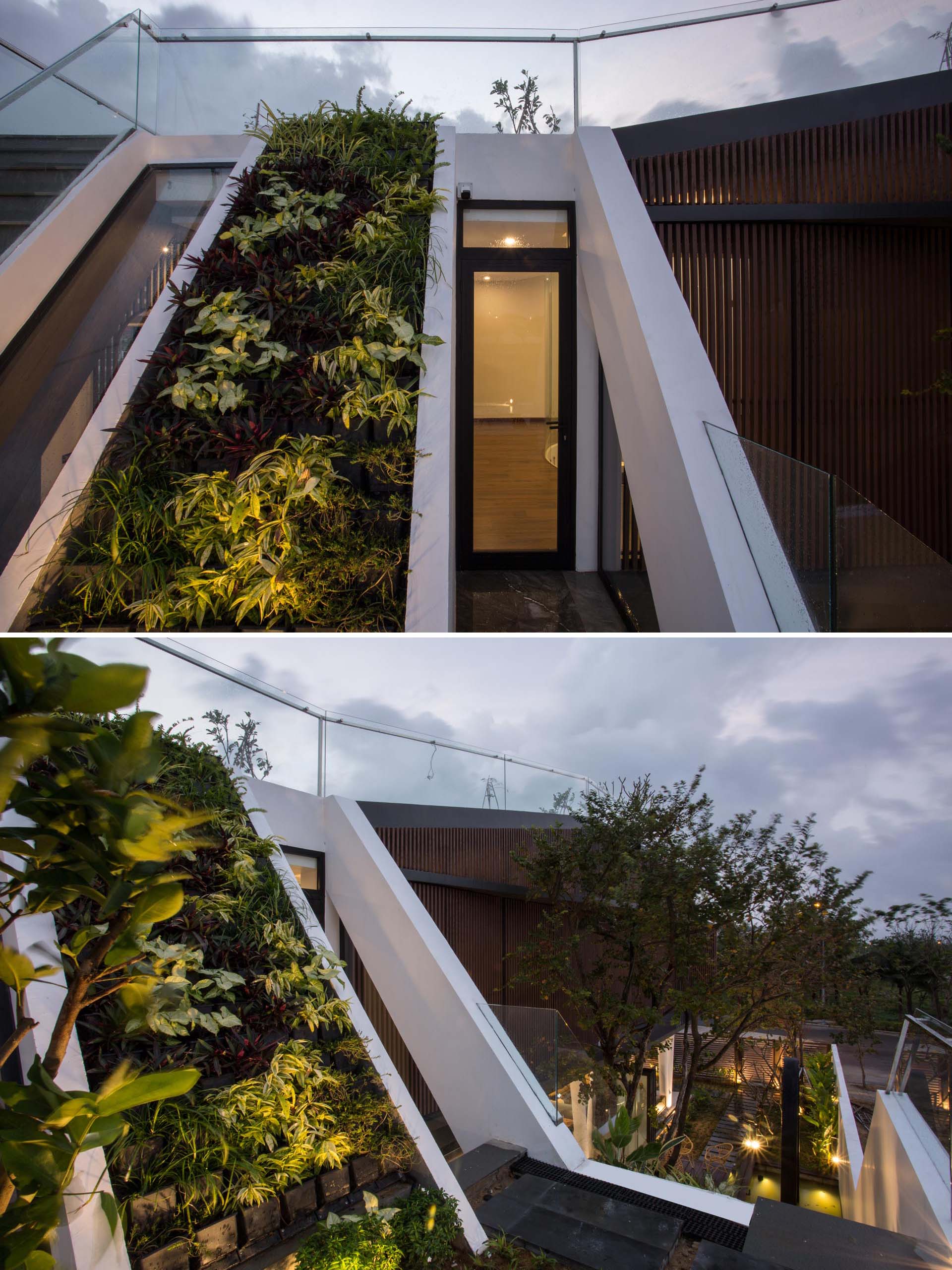 A modern home has exterior stairs that run alongside a heavily planted sloped section and a glass railing.