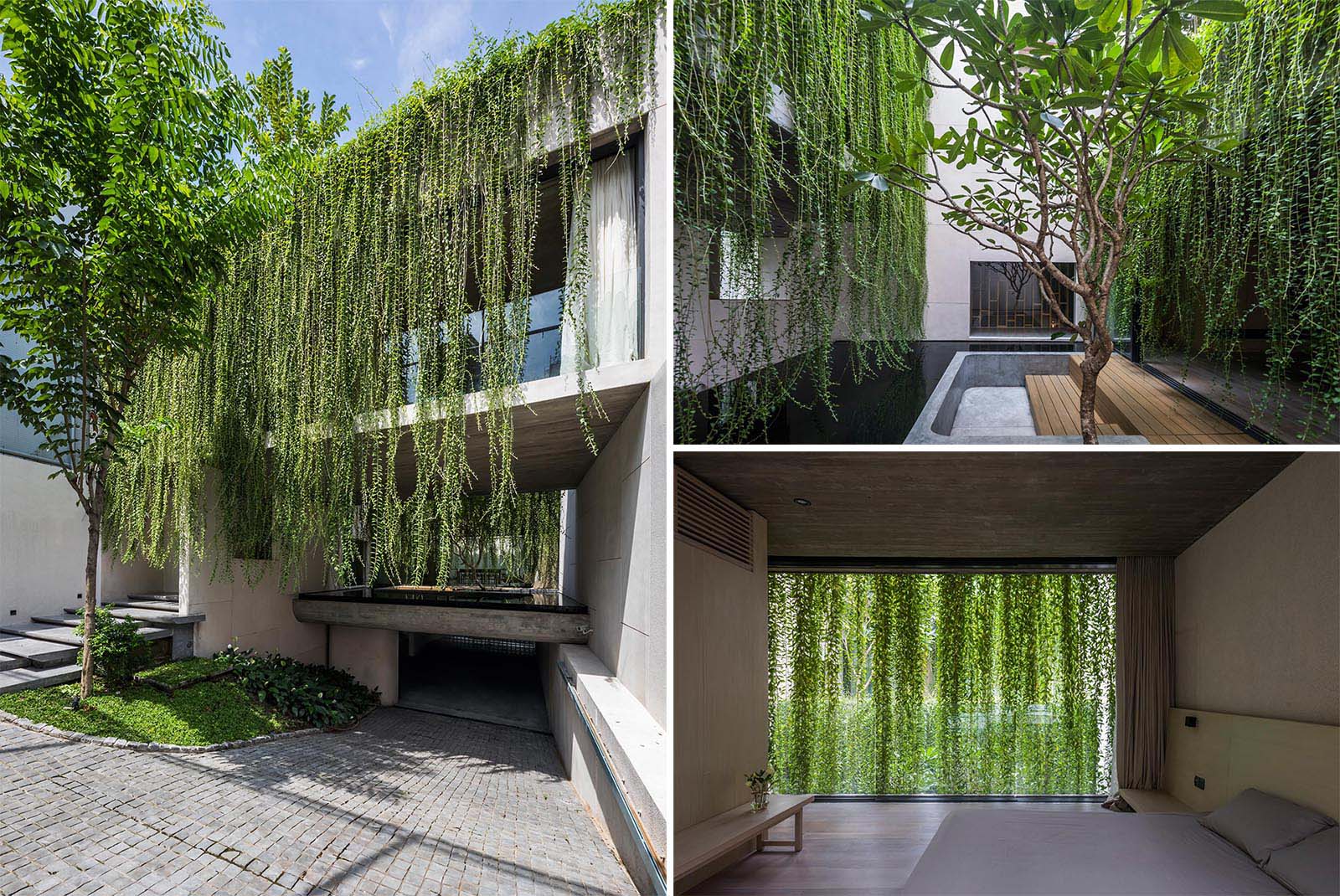 A modern house with overhanging plants.