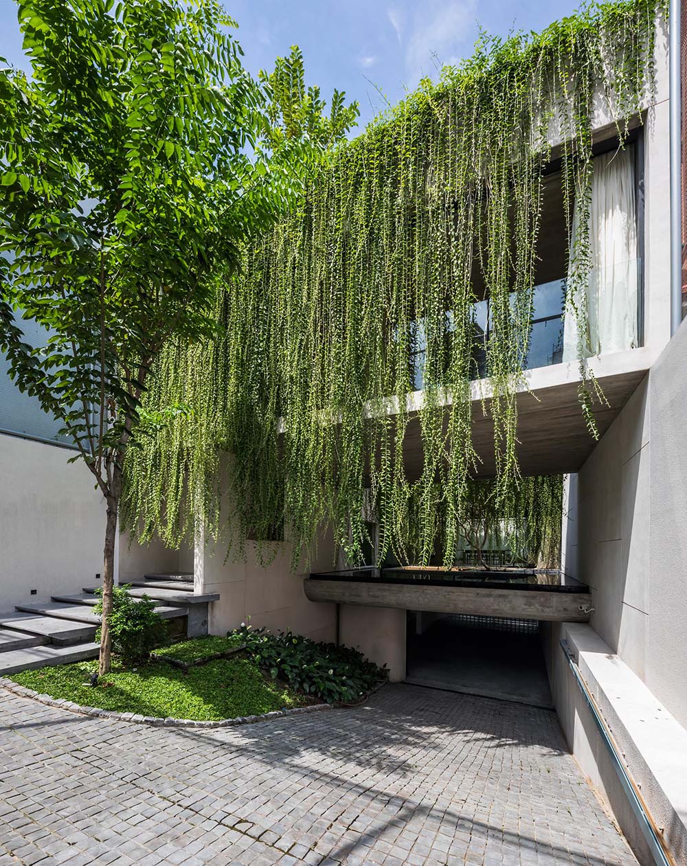 A modern house with vines that hang over the facade.