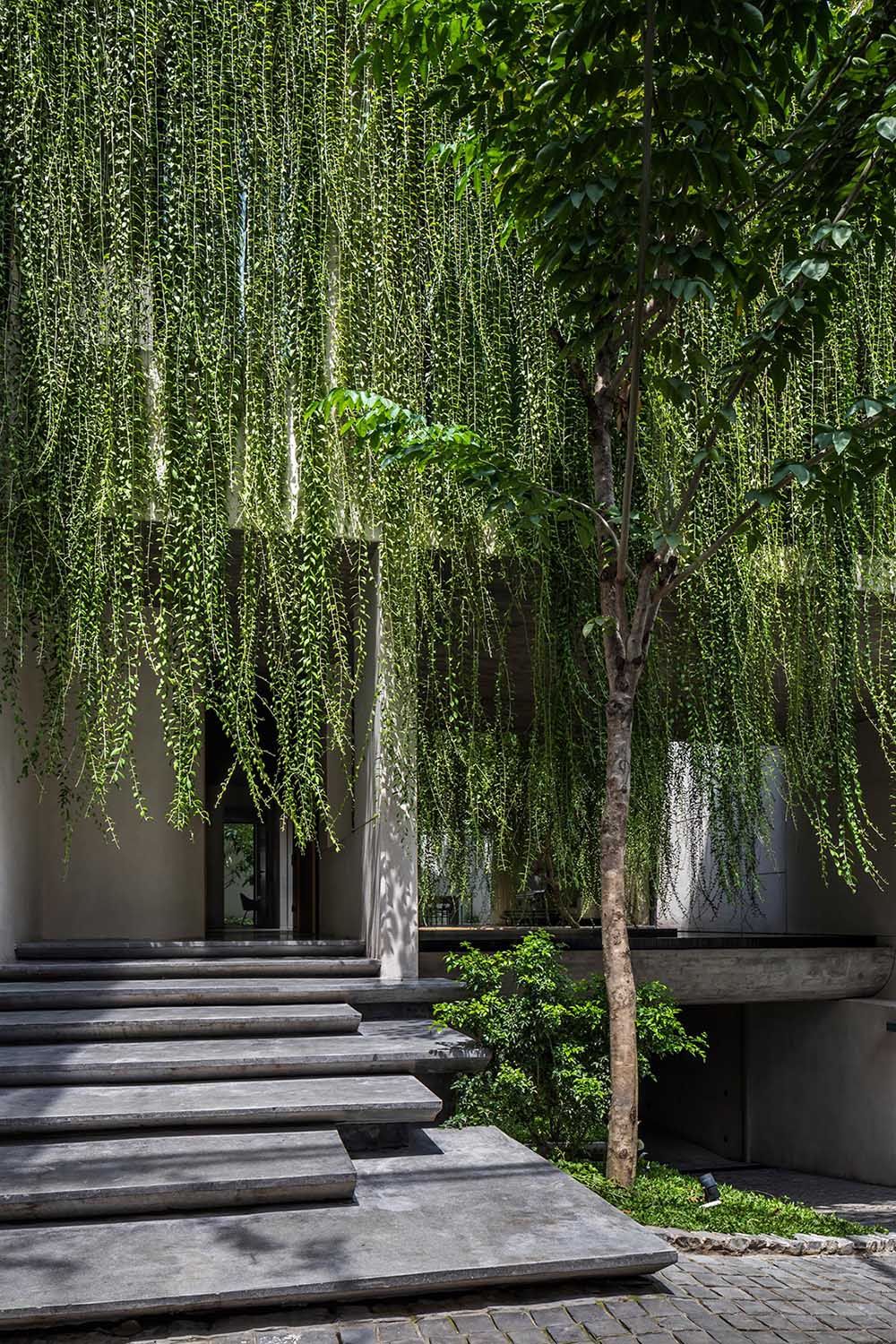 A modern house with overhanging plants.