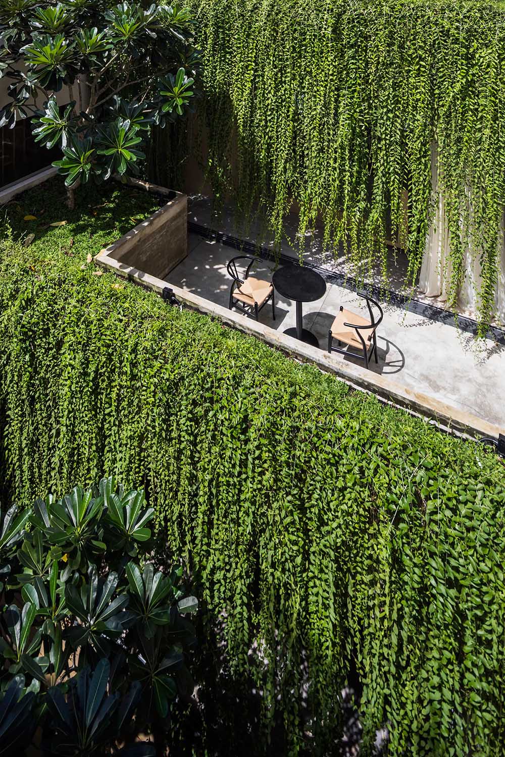 A modern house with a patio that's surrounded by overhanging plants.