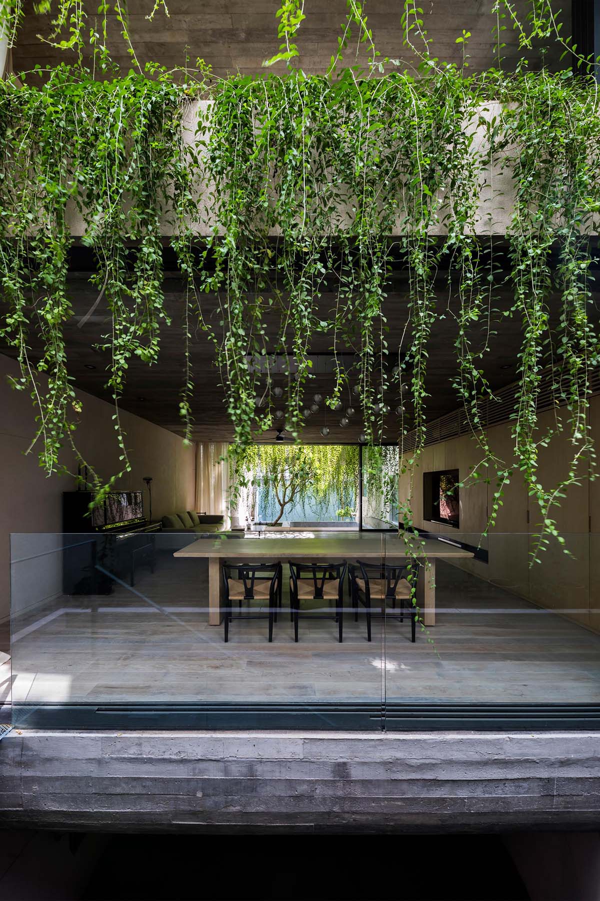 A modern concrete house with overhanging plants.