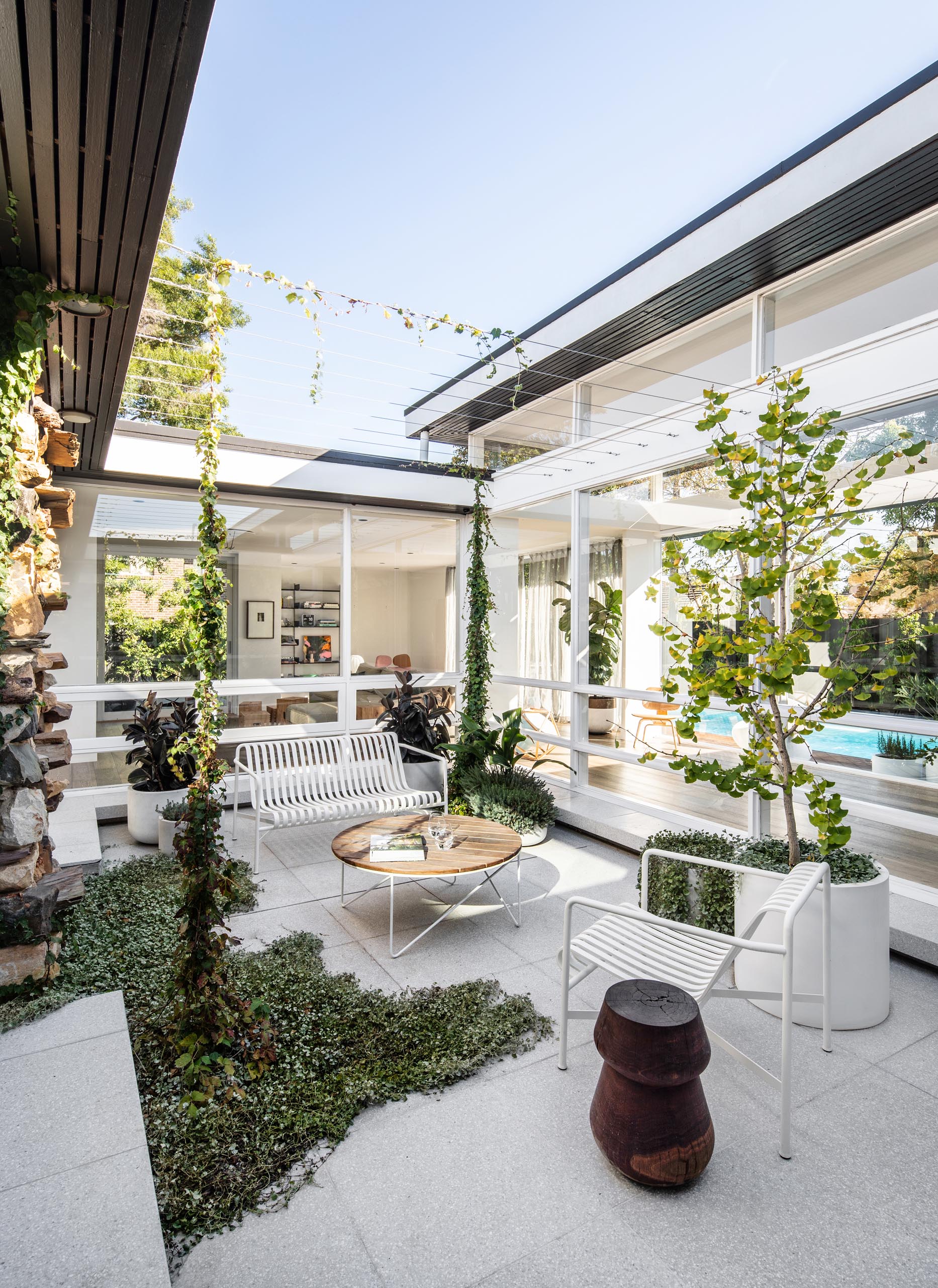 A central light-drenched courtyard has vines that will create a shaded outdoor space, furnished with planters and simple furniture.