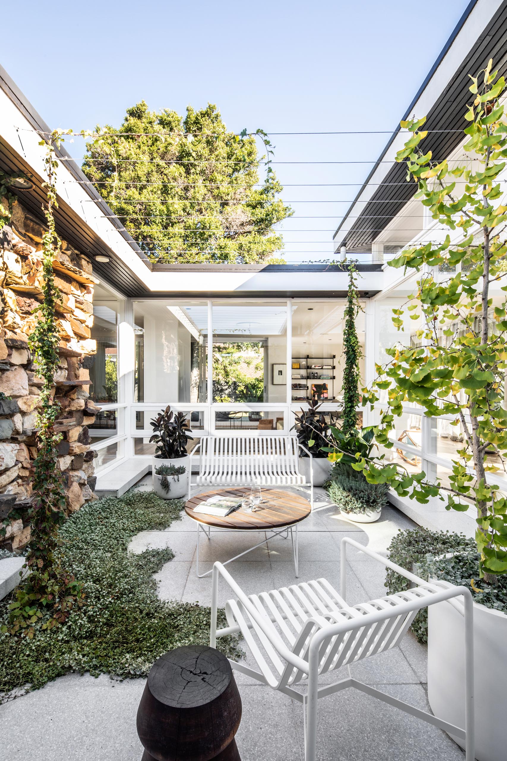 A central light-drenched courtyard has vines that will create a shaded outdoor space, furnished with planters and simple furniture.