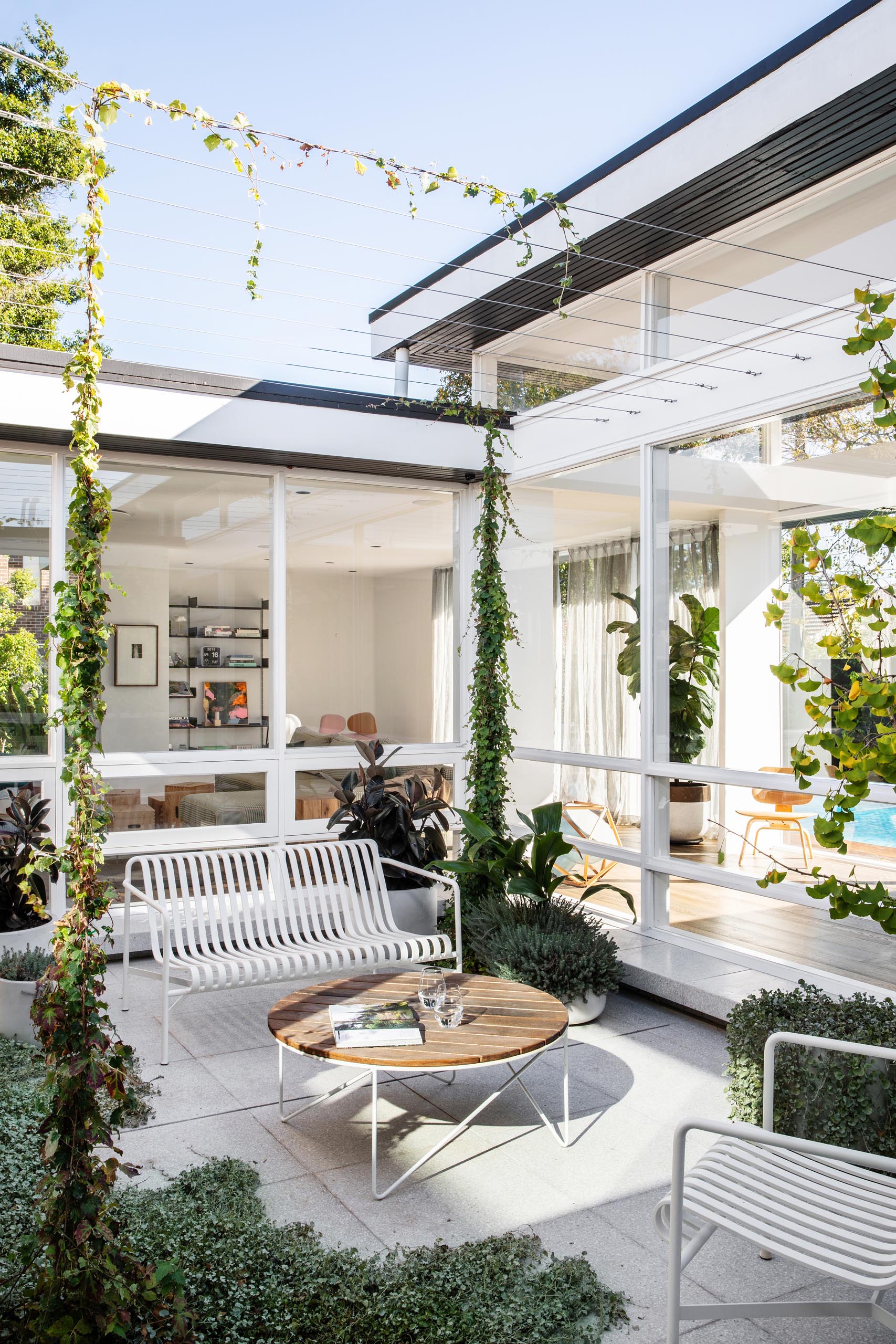 A central light-drenched courtyard has vines that will create a shaded outdoor space, furnished with planters and simple furniture.