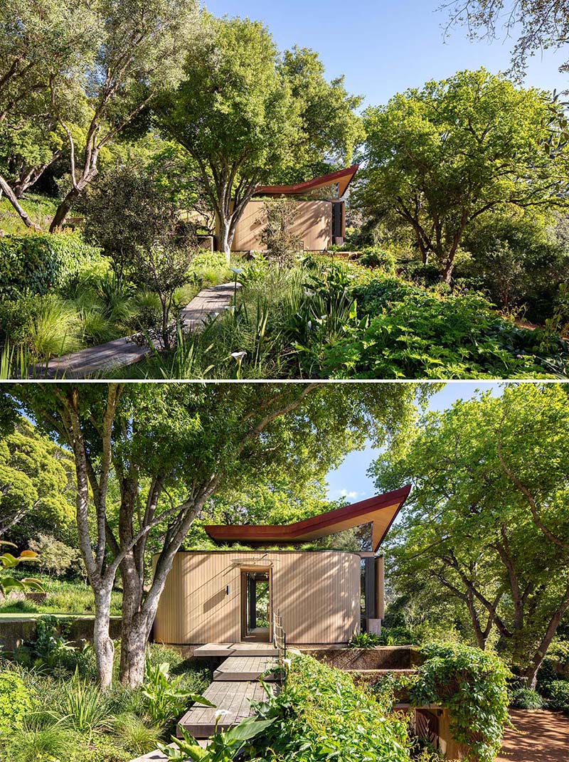 A modern home gym with a wood exterior, sloped roof, and green roof.